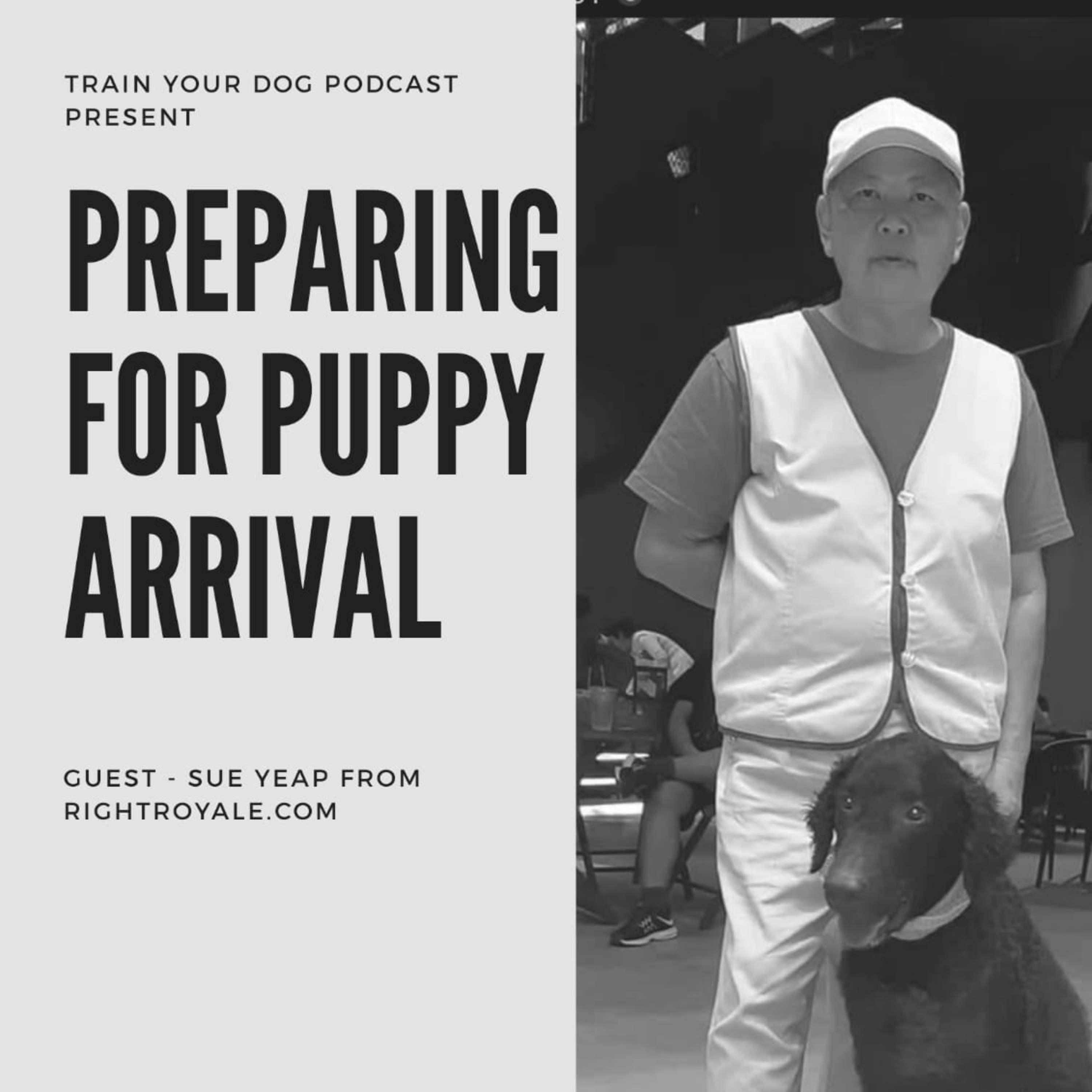 Train Your Dog