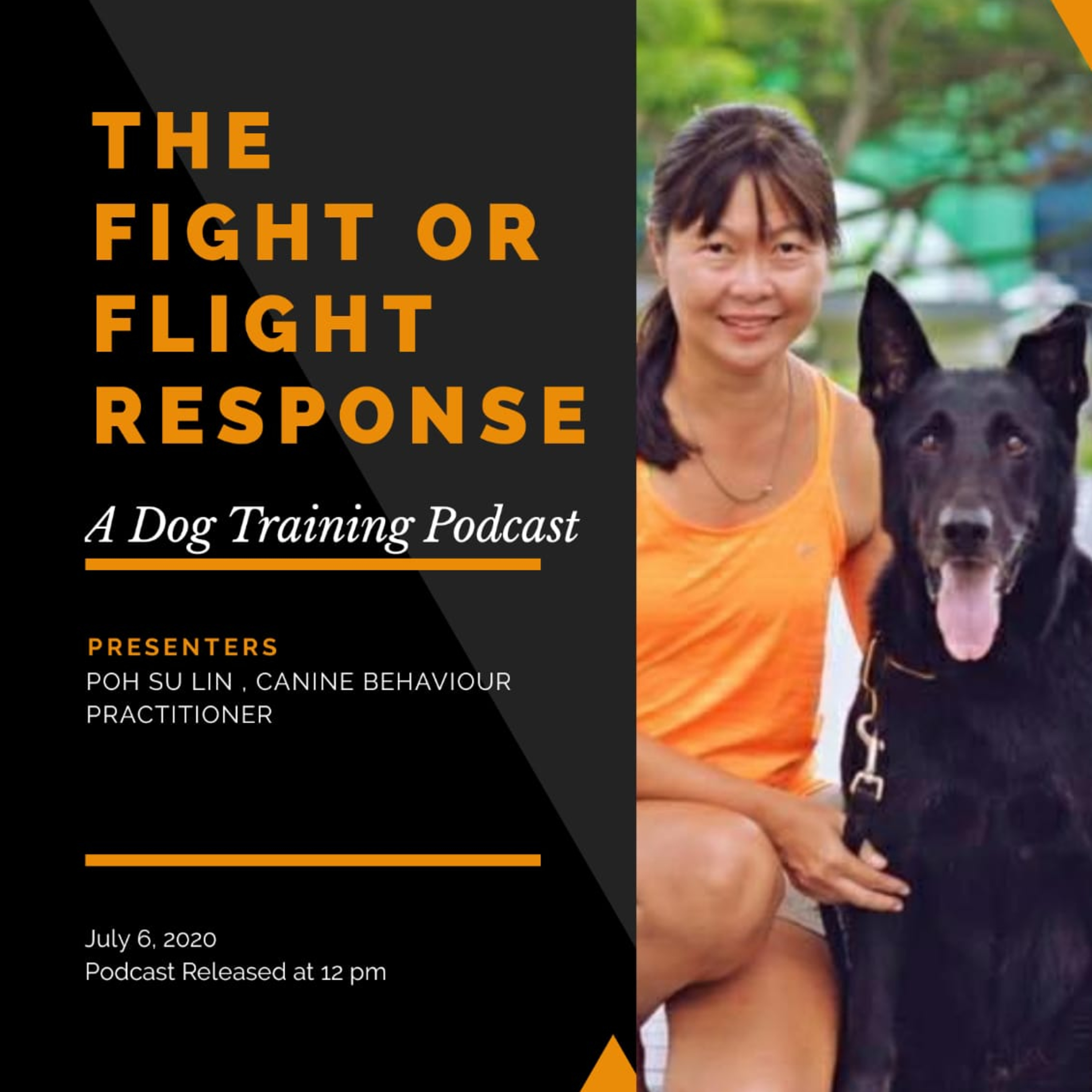 Train Your Dog