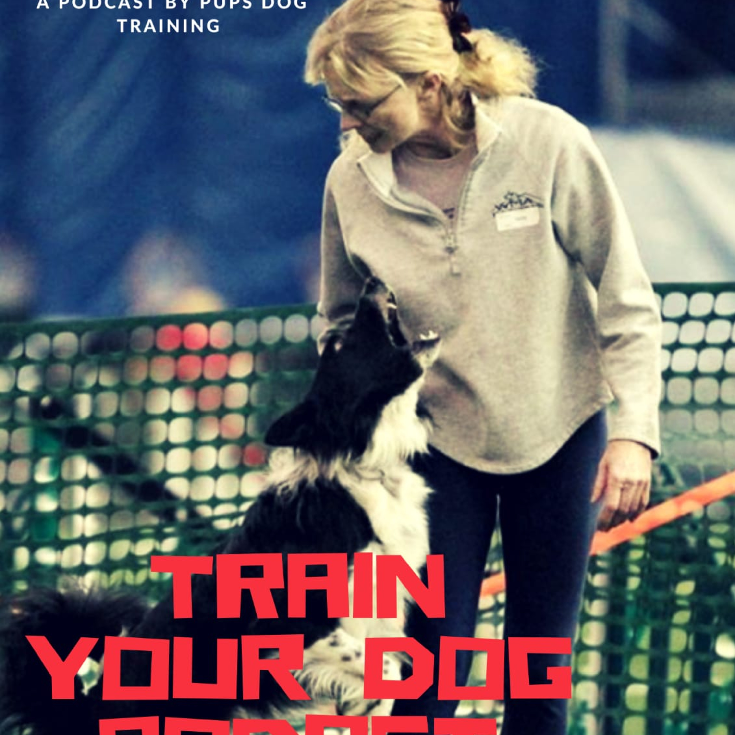 Train Your Dog