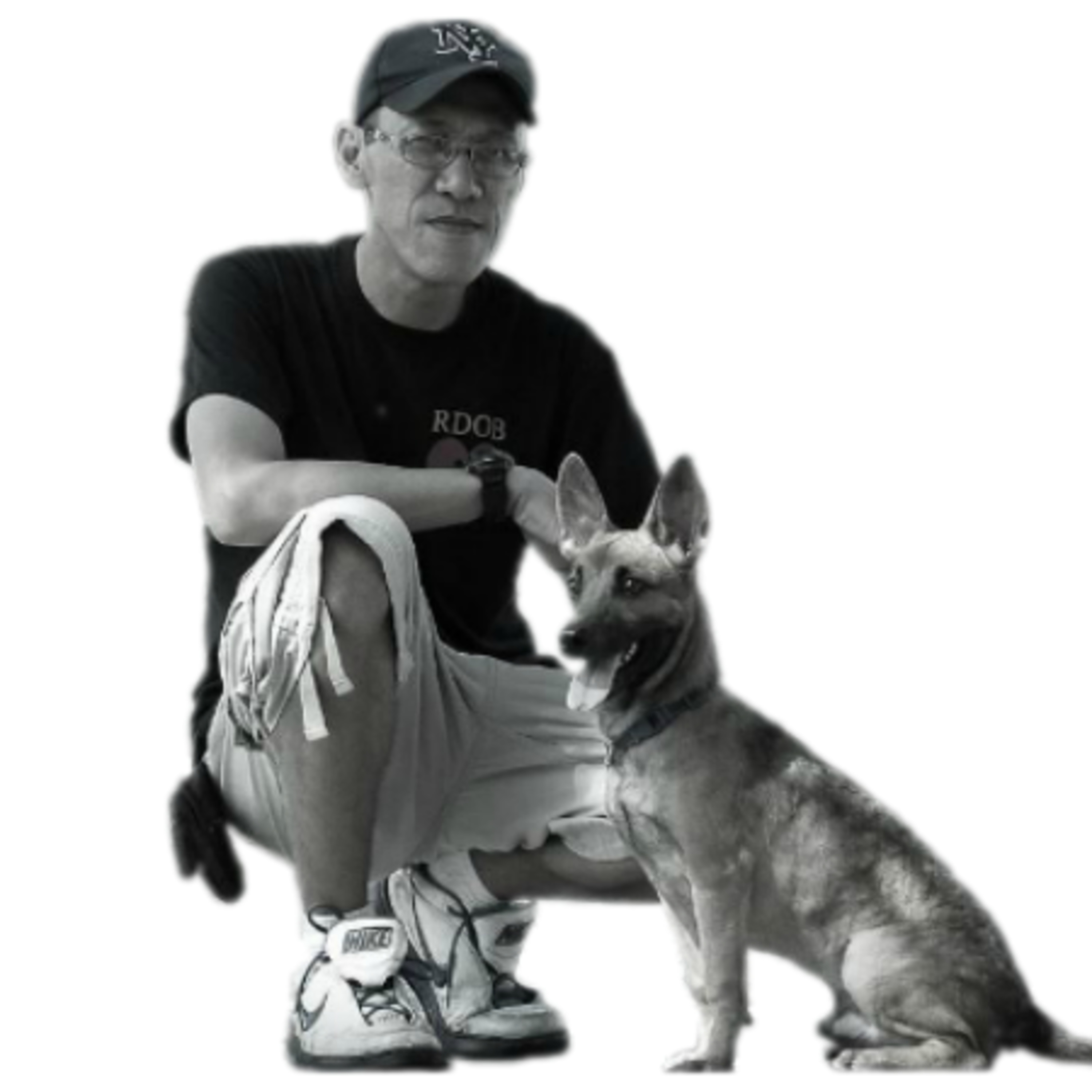 Train Your Dog