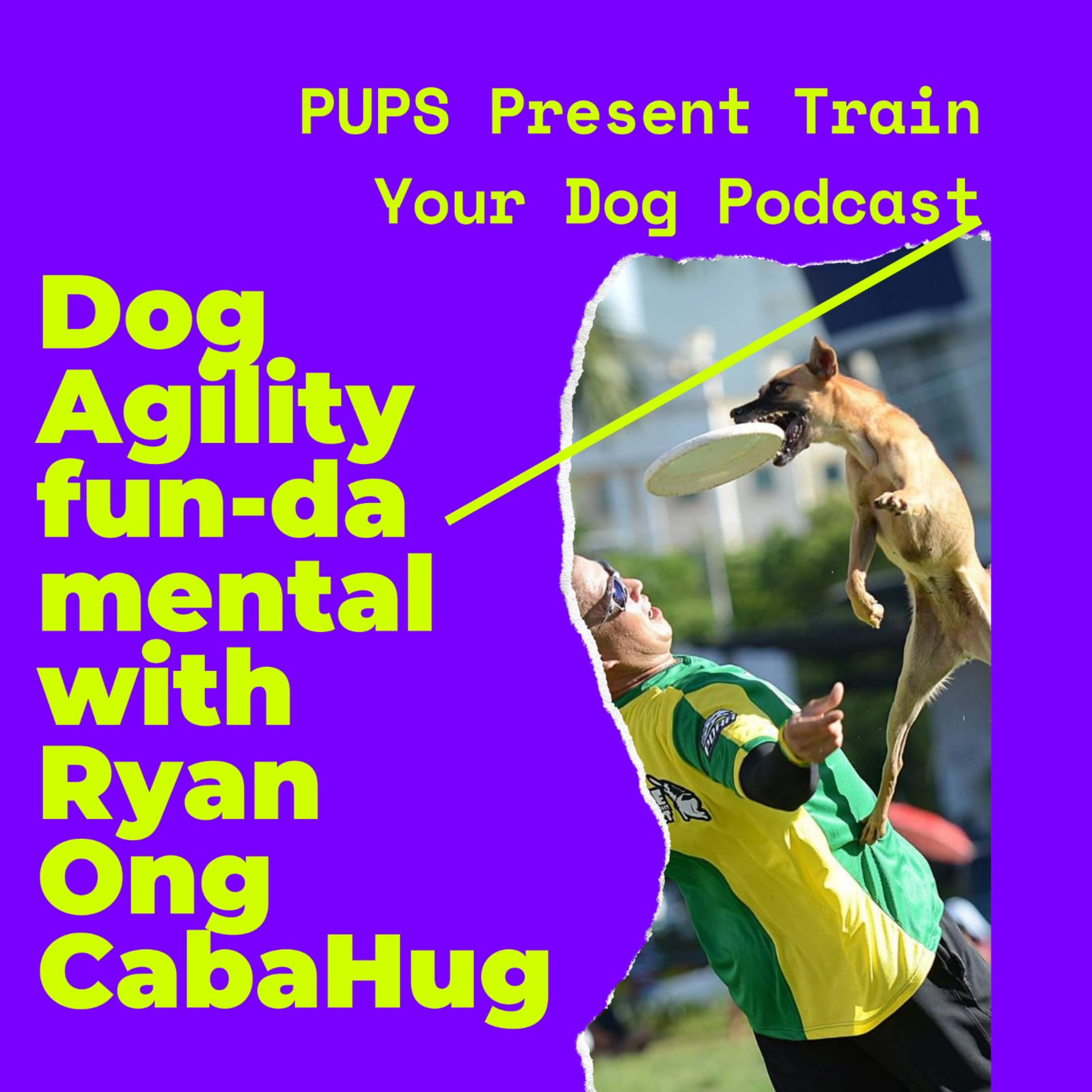 Train Your Dog