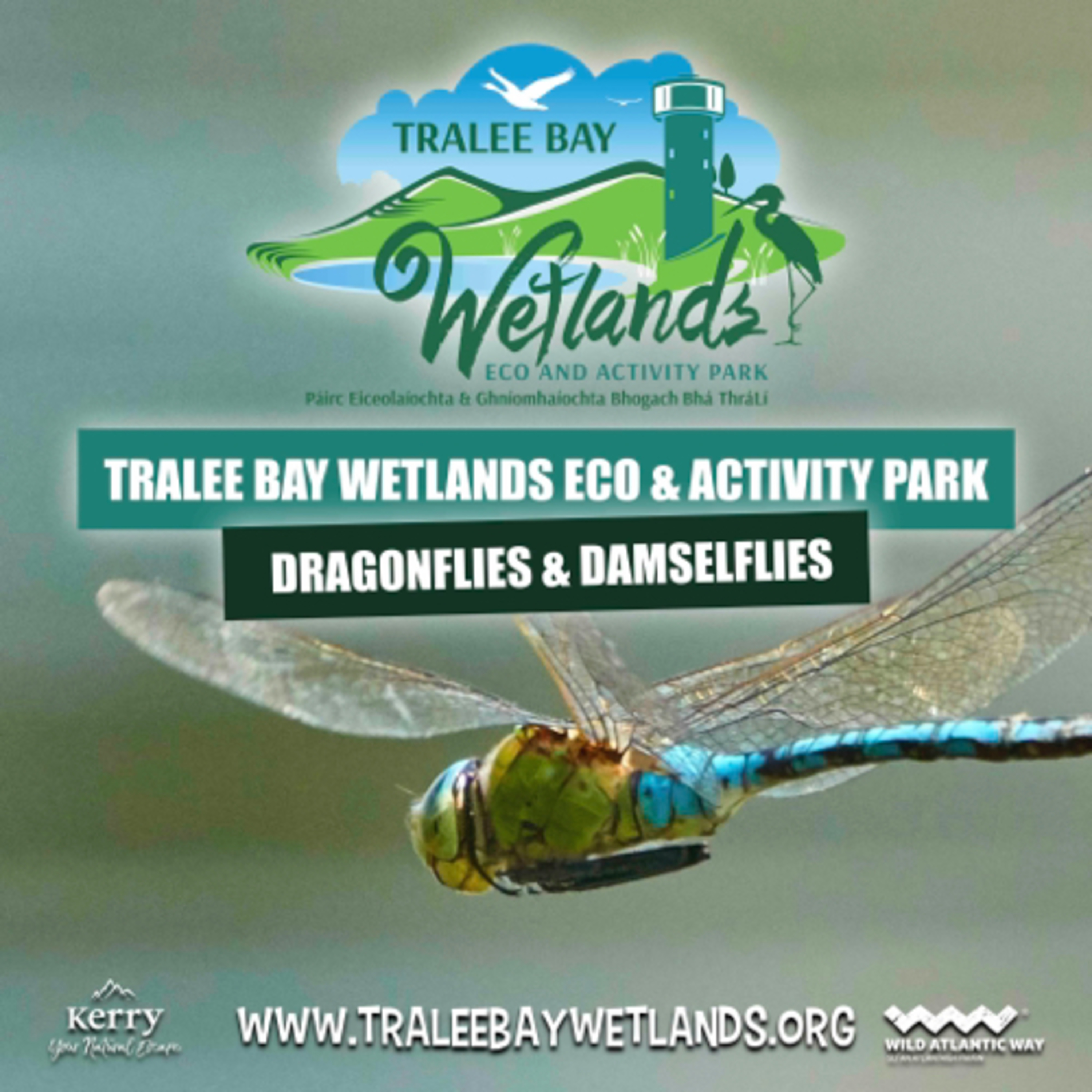 Our Nature Podcasts