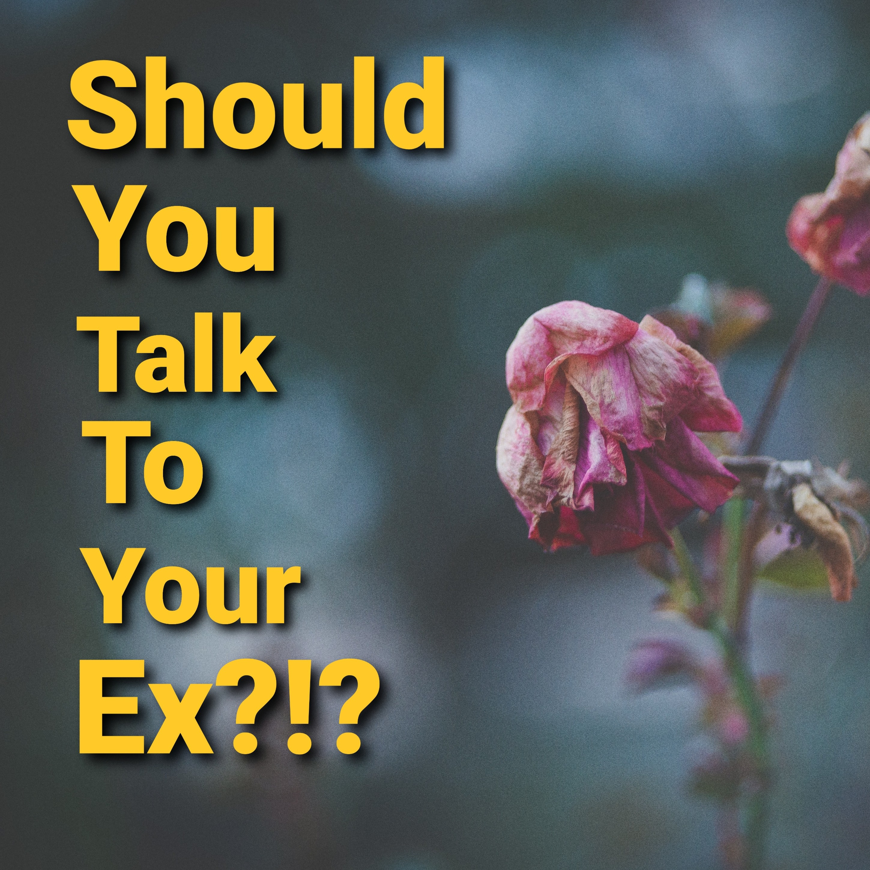Should You Be Talking To Your Ex While In A New Relationship? episode artwork