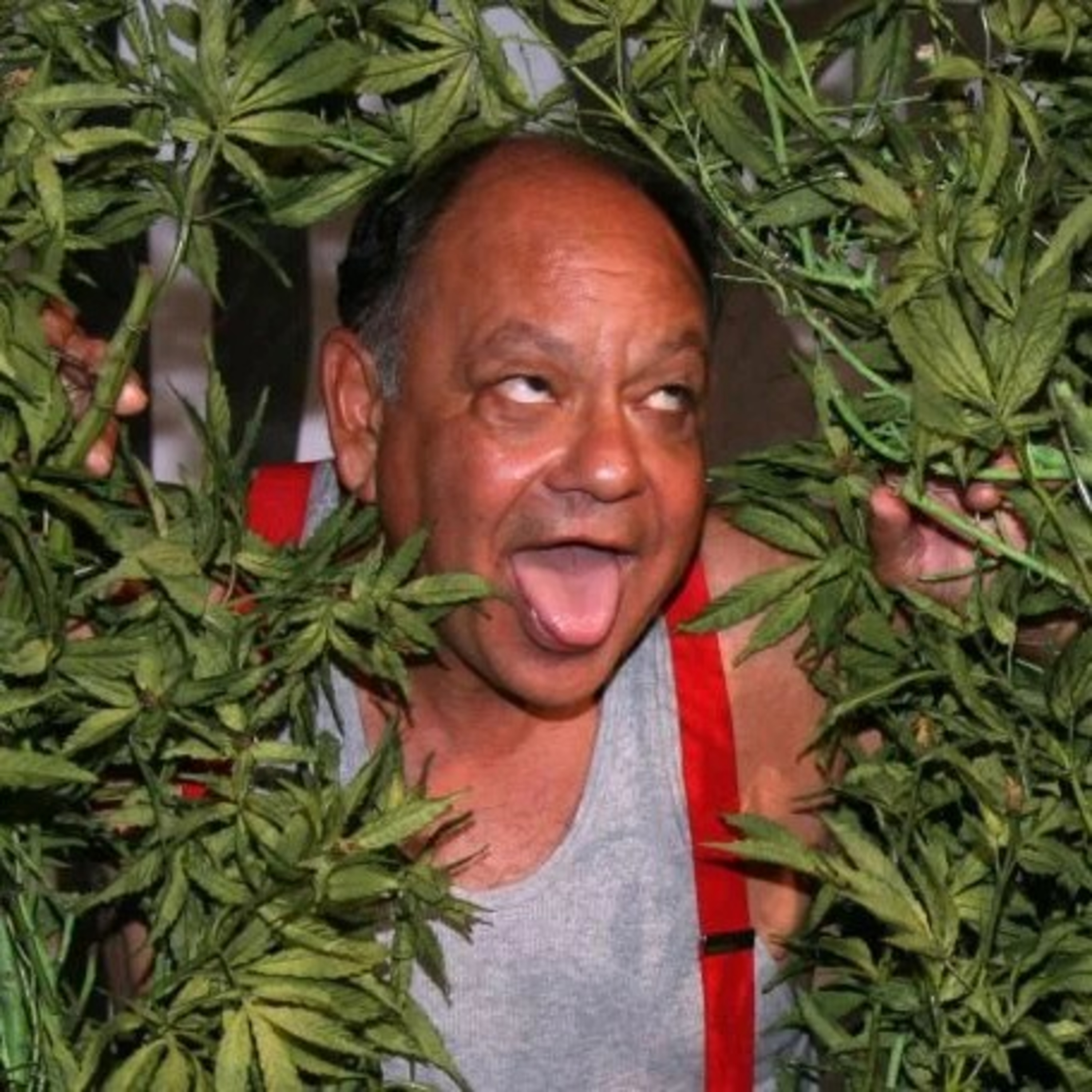 Insanity Episode 1 : How does weed effect our culture? episode artwork