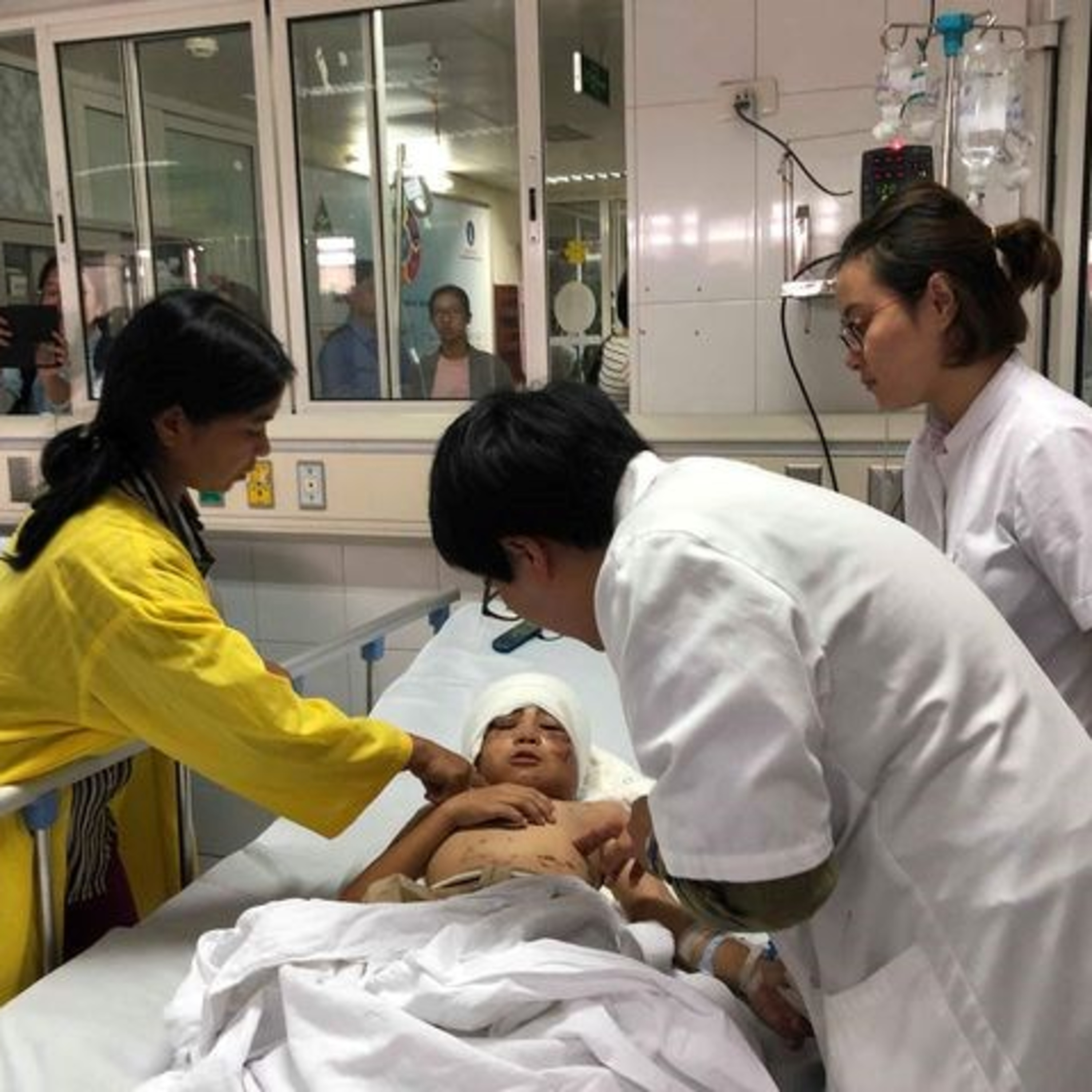 Thị thành ký: Đừng để con trẻ thành mục tiêu tấn công của vật nuôi trong gia đình  episode artwork