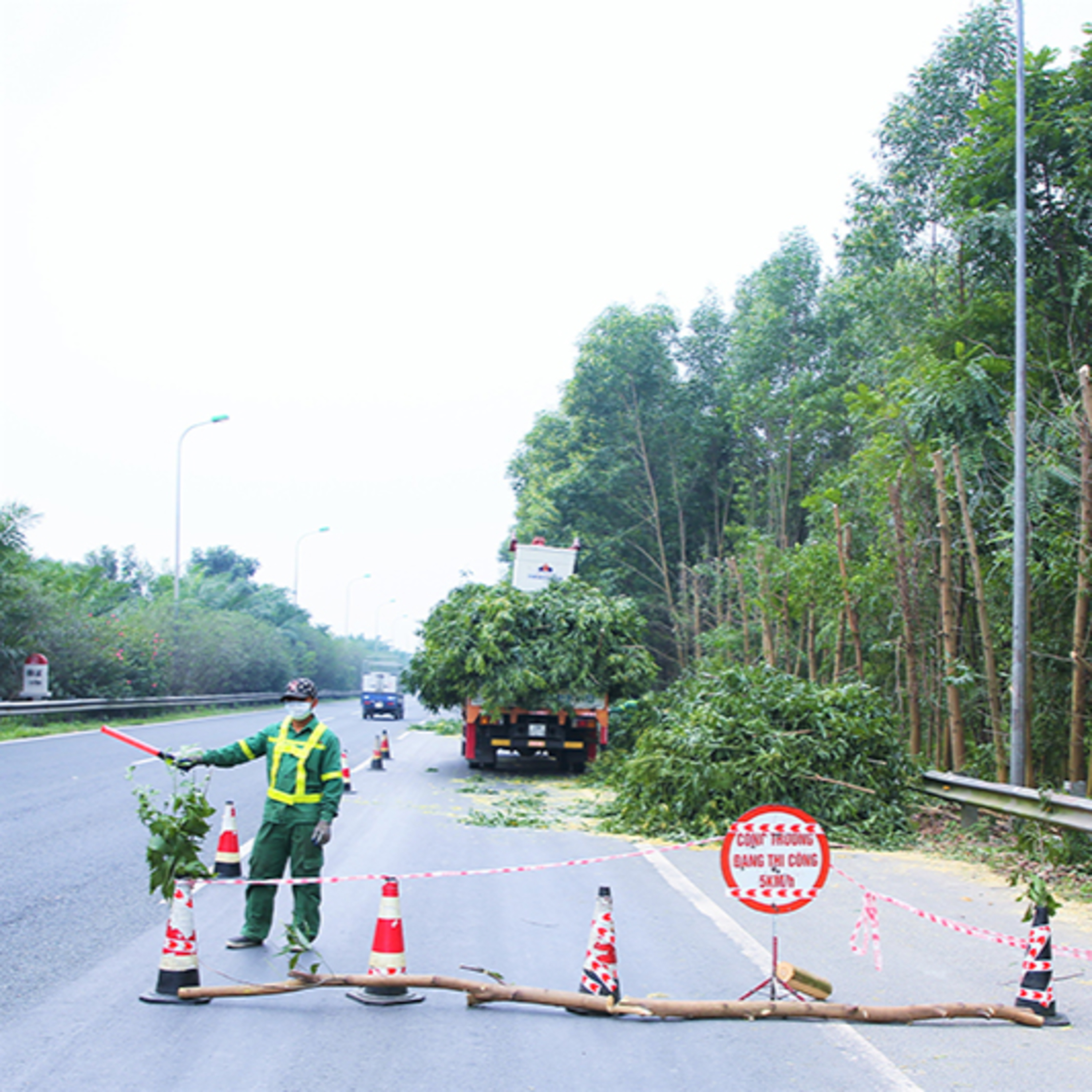 "Cạo trọc” hàng cây mới thấy biển báo giao thông, có hay không việc trồng cây chưa đúng quy chuẩn? episode artwork