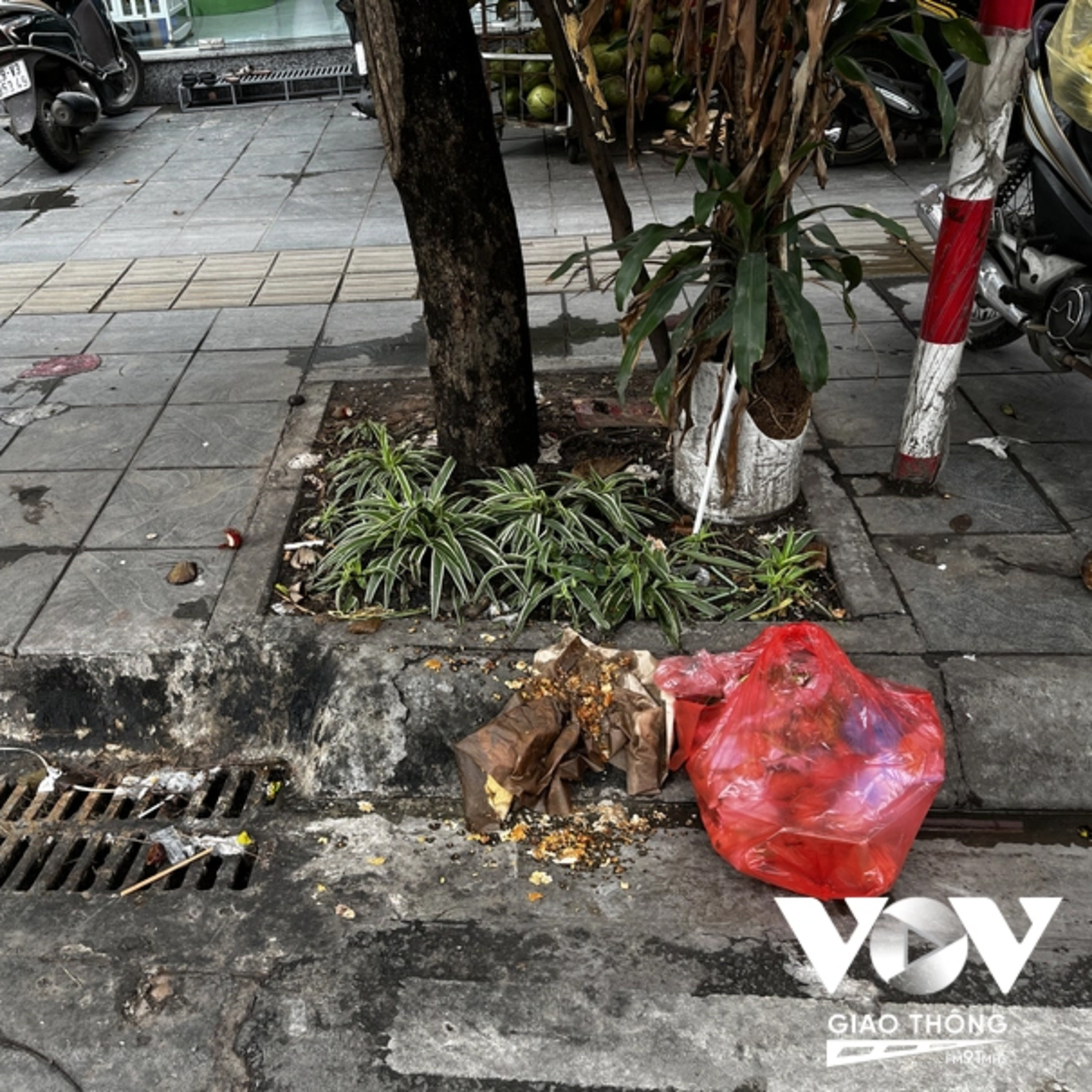 Xử phạt vi phạm vứt rác bừa bãi: Camera chưa phát huy tác dụng episode artwork