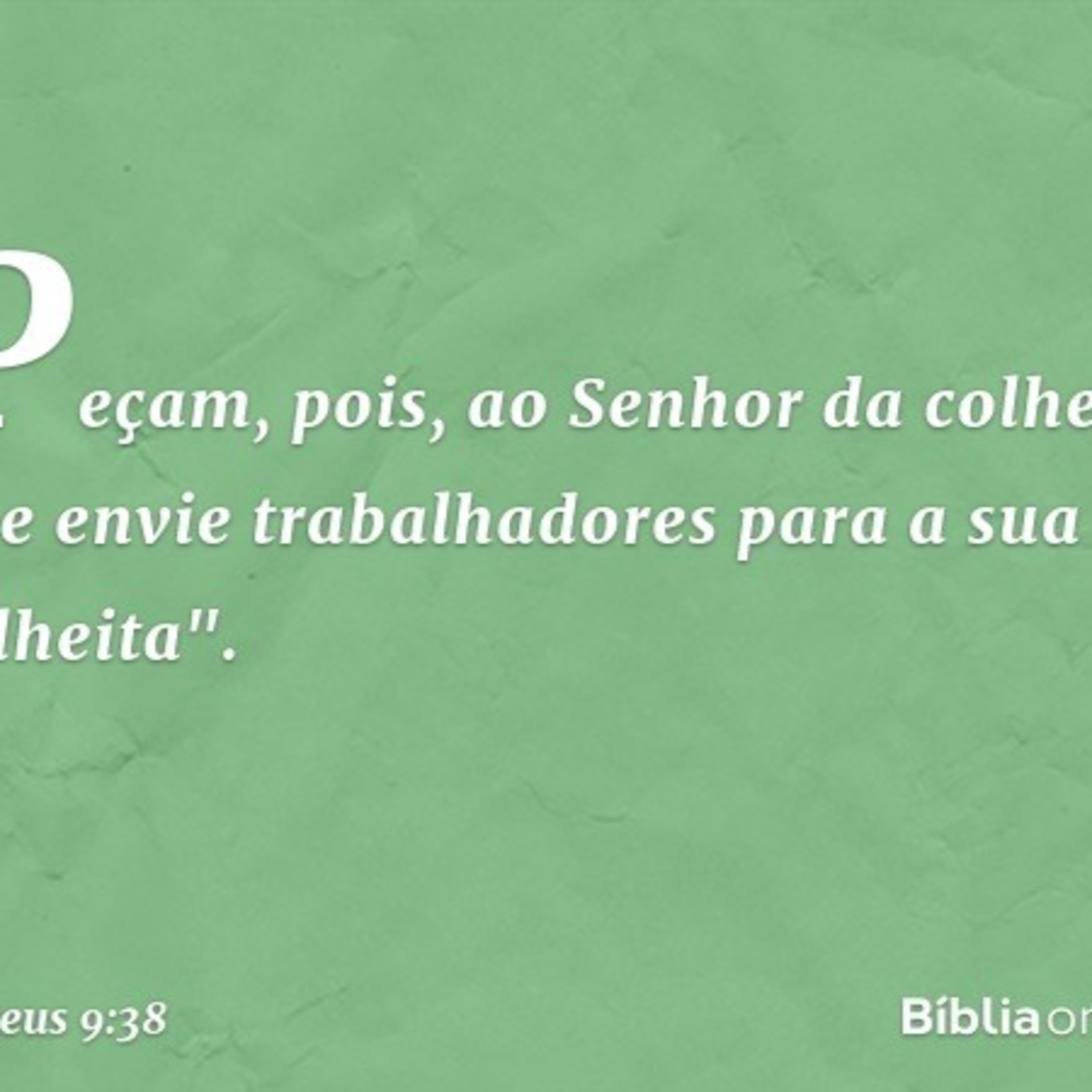 Os campos estão brancos! episode artwork
