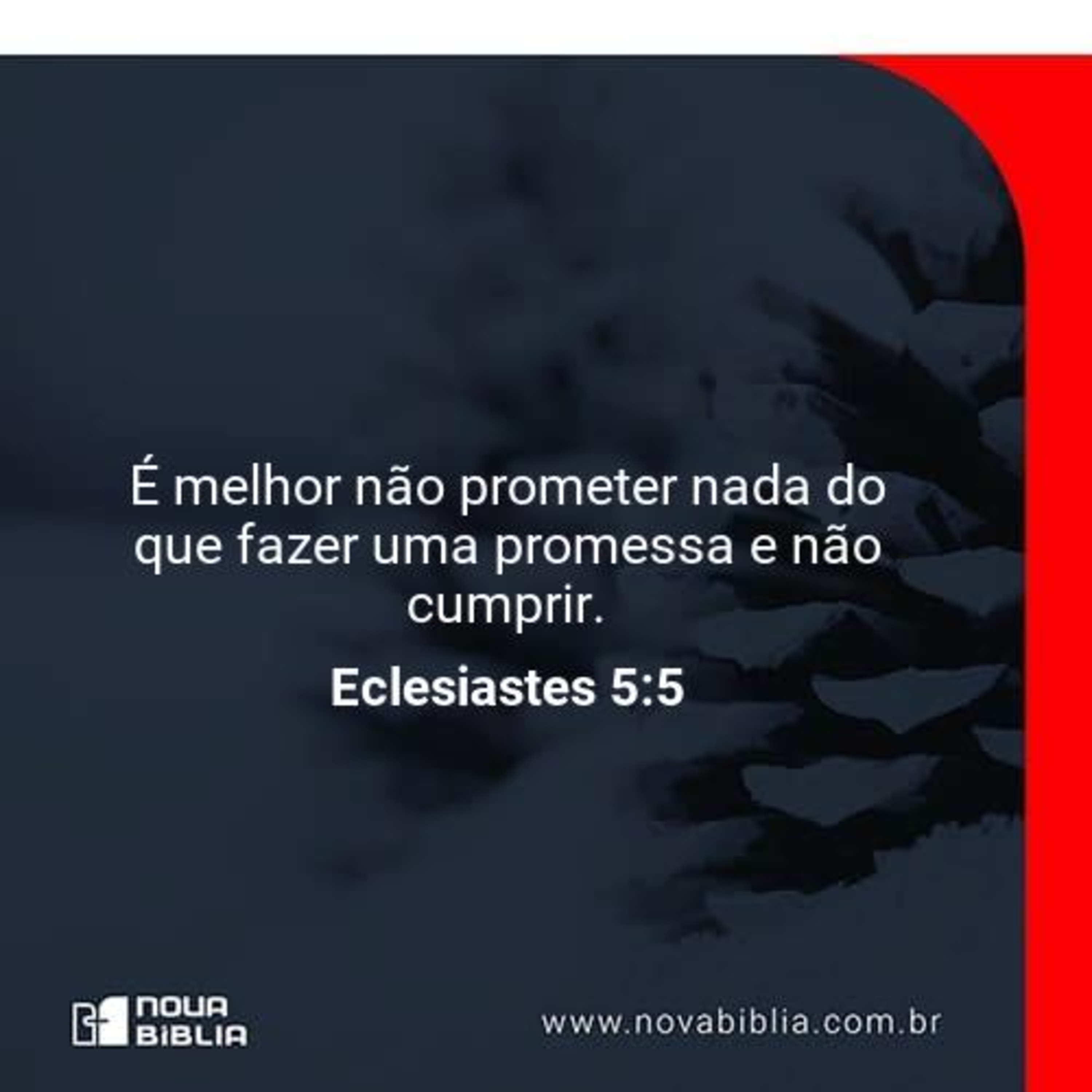 Melhor não prometer... episode artwork