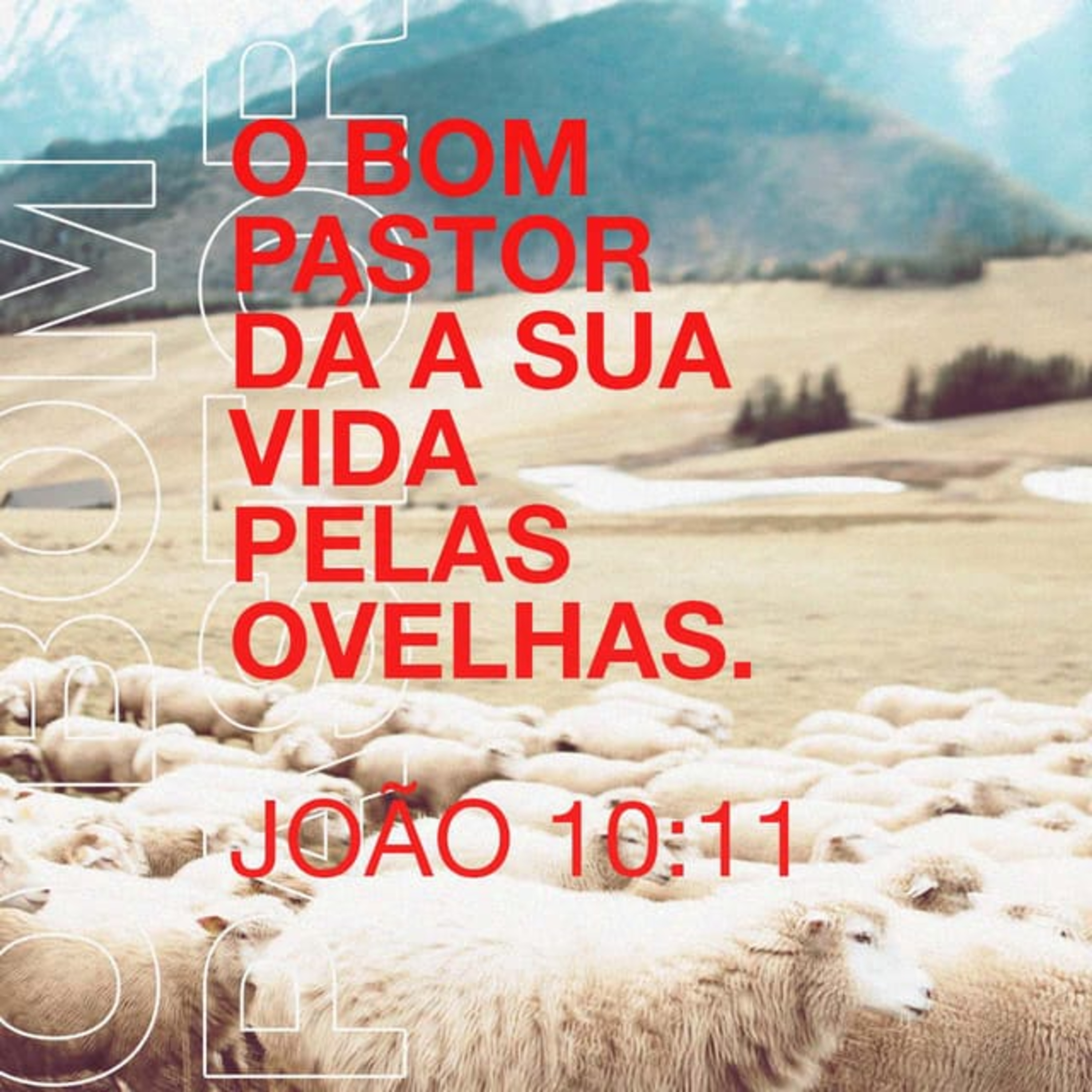 Bom pastor ou assalariado? Qual a diferença? episode artwork