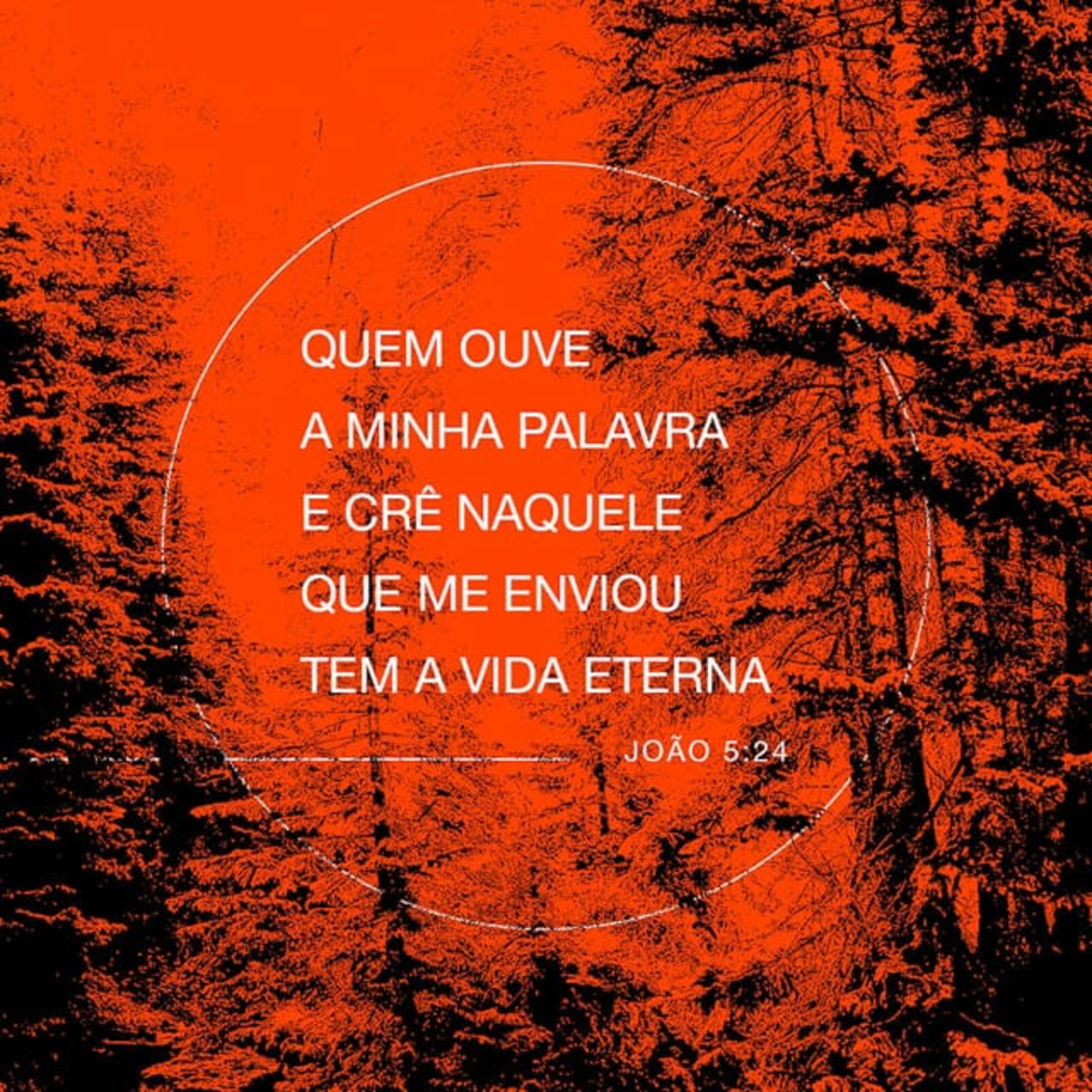 Honre o Filho! episode artwork