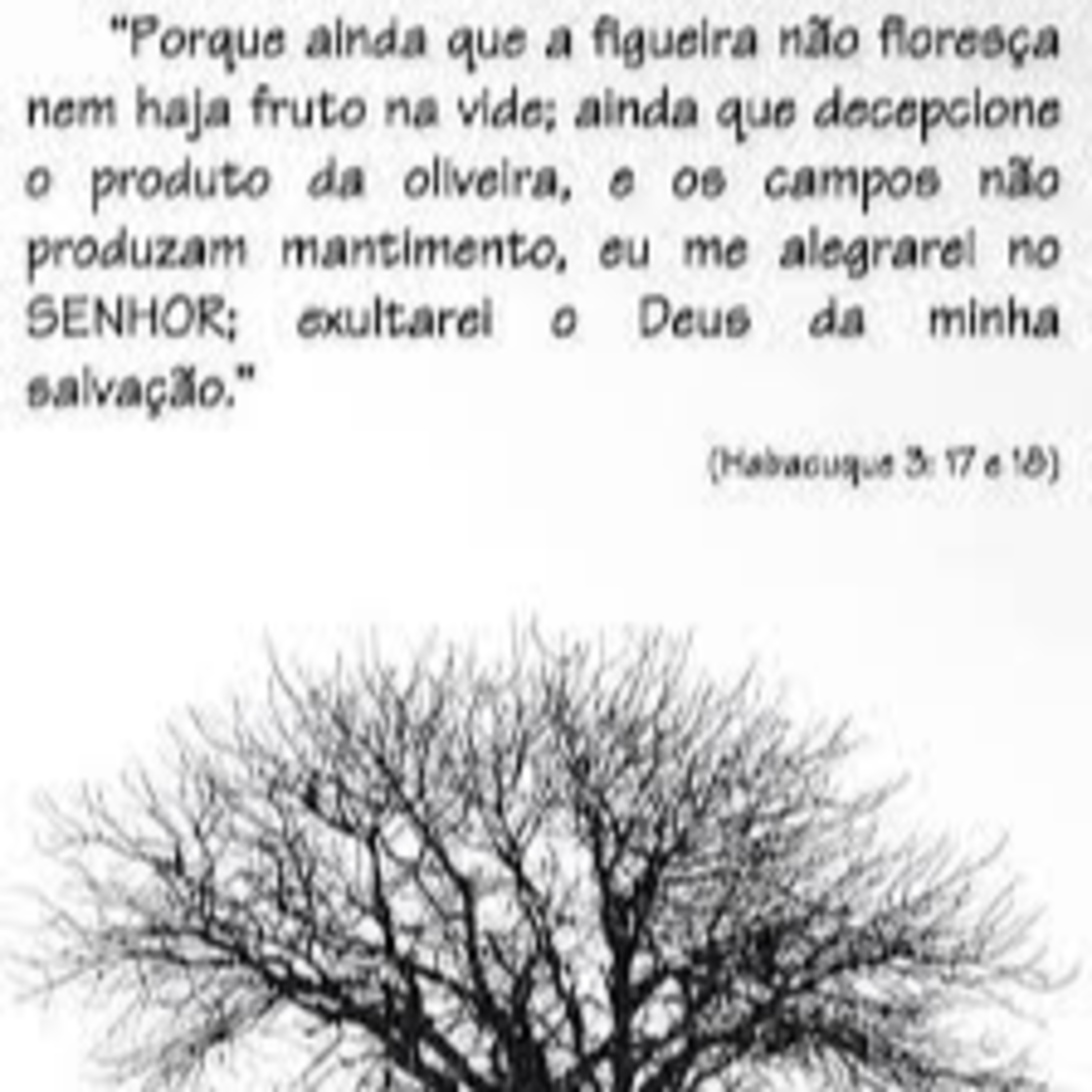 Confie no Senhor, durante as adversidades! episode artwork