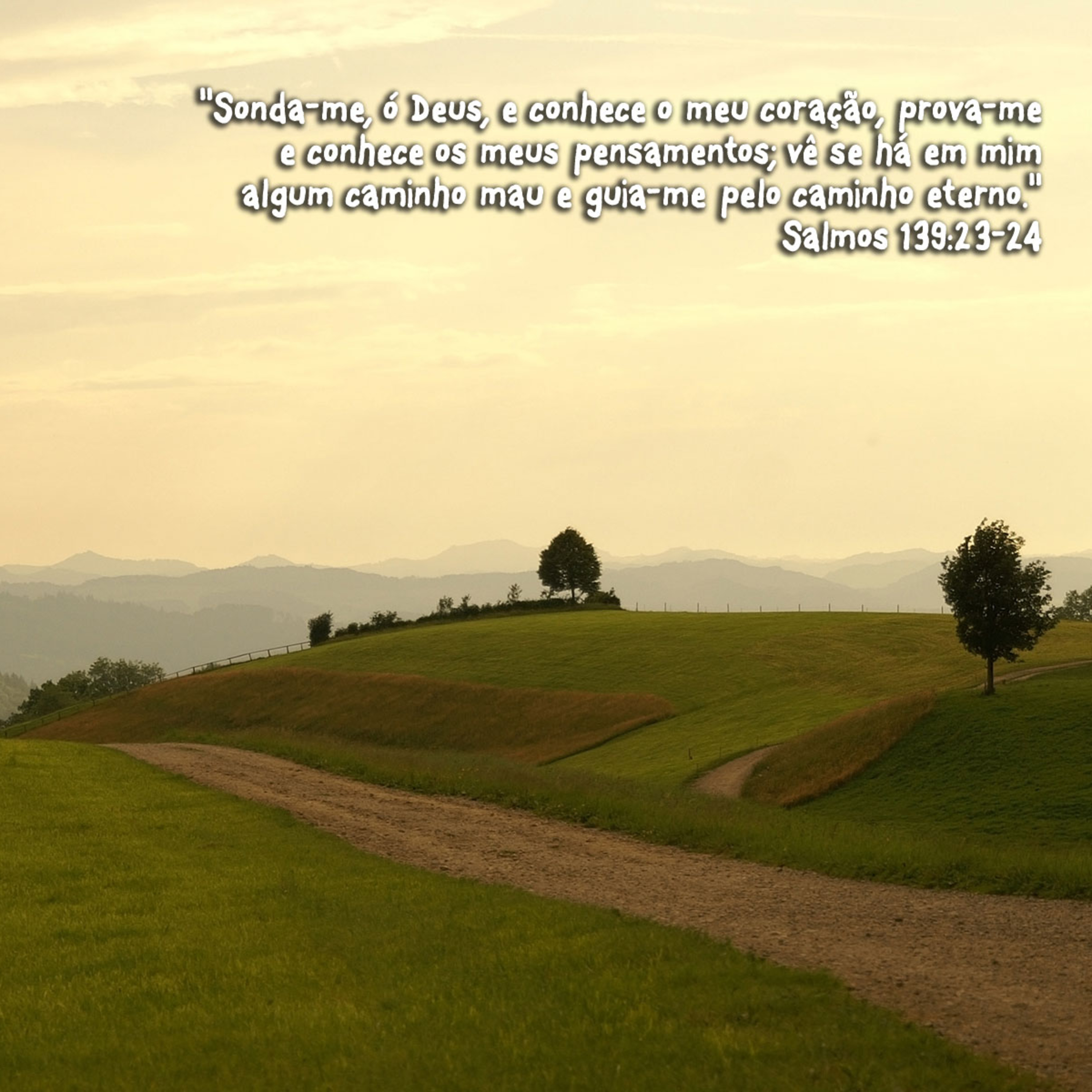 Permita que o Senhor conduza sua vida. episode artwork