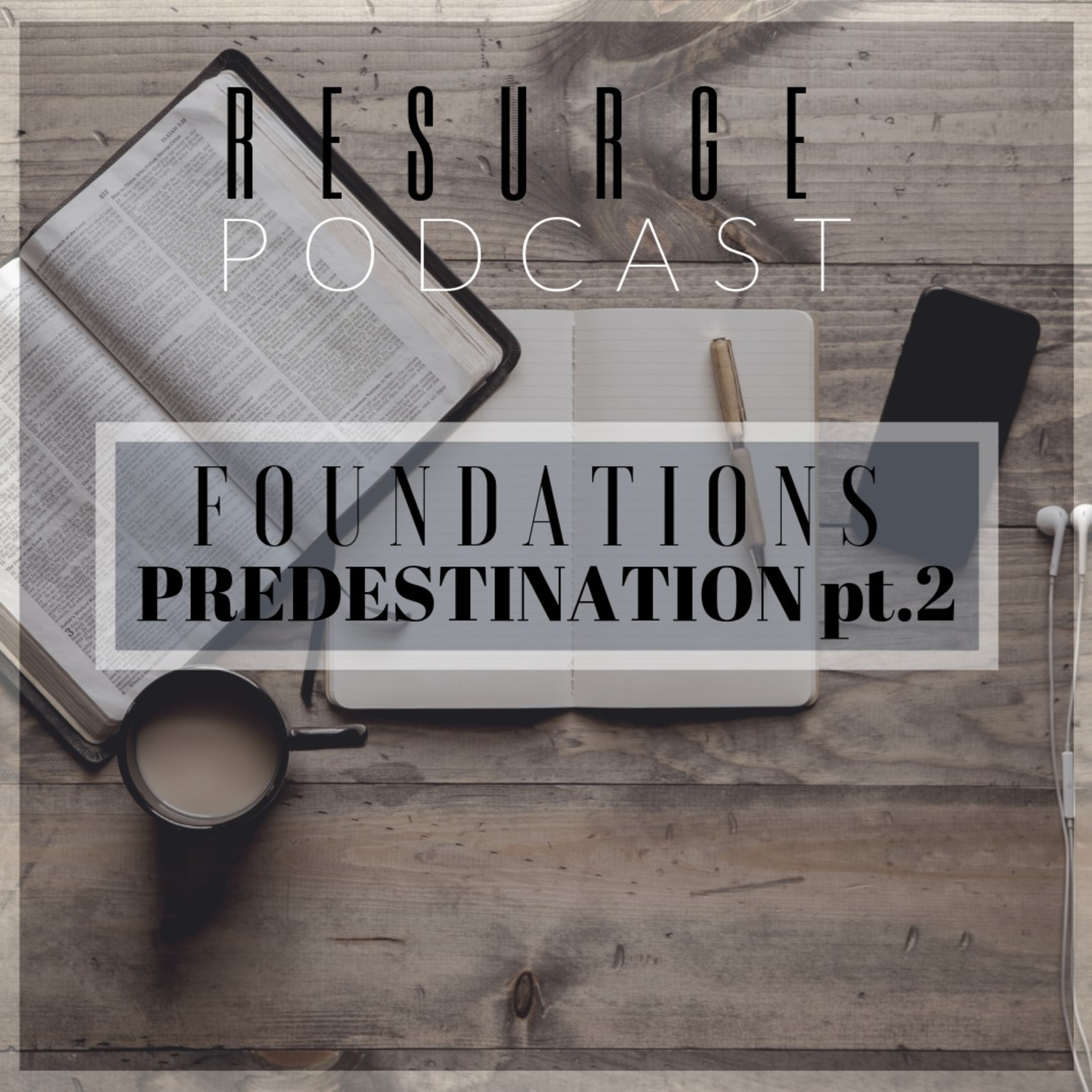 Predestination pt.2  episode artwork