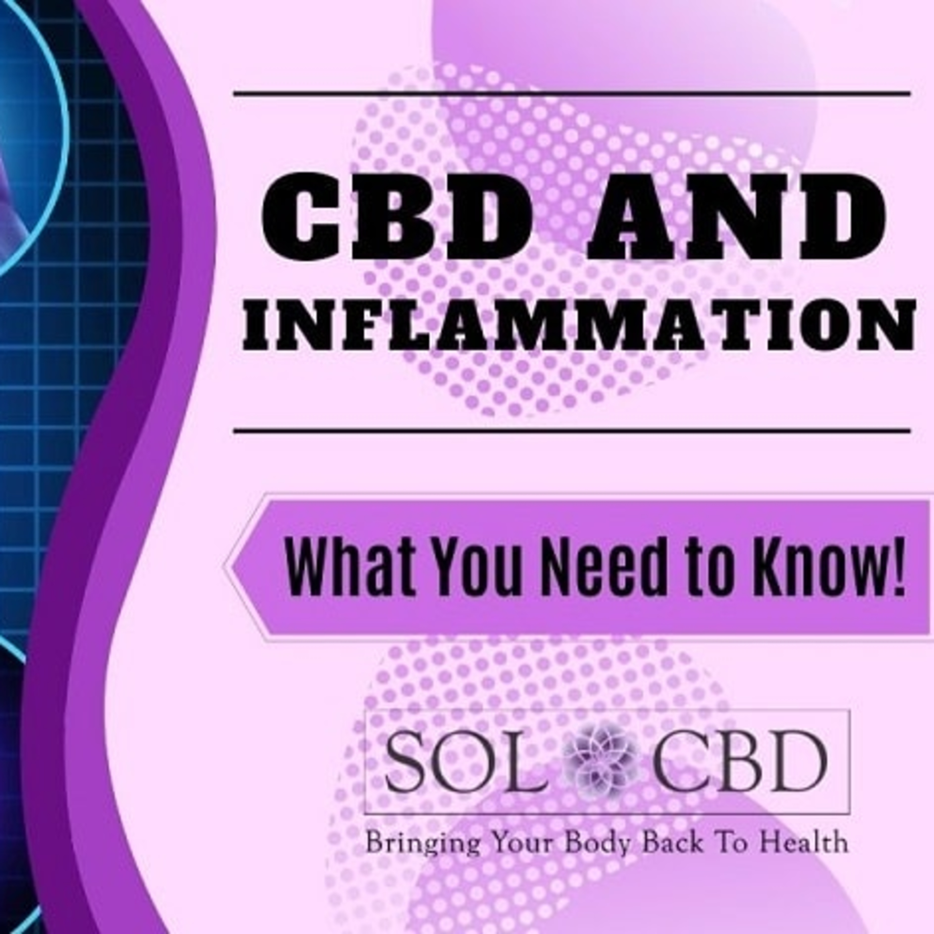 The CBD Academy by SOL*CBD