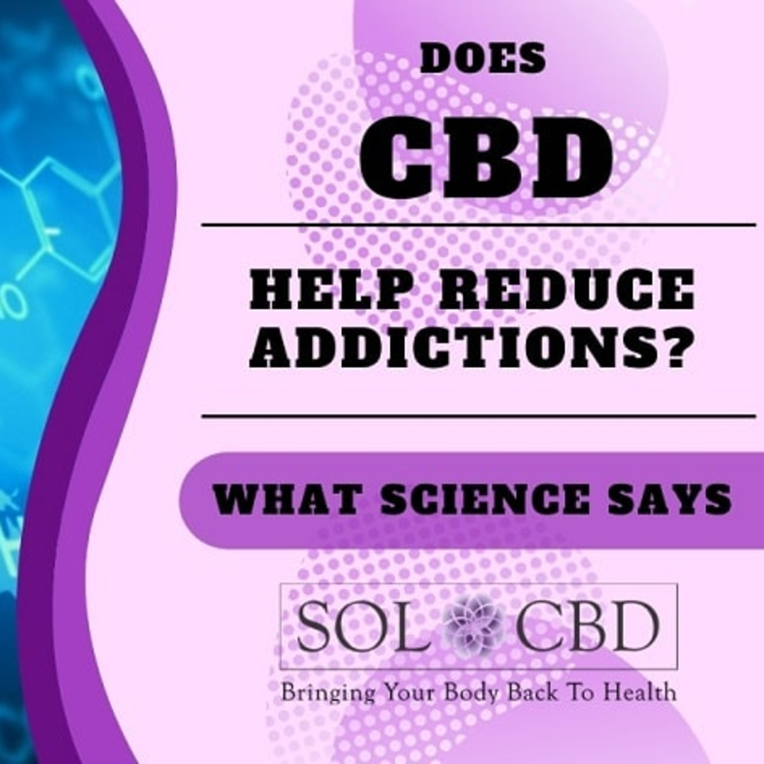 The CBD Academy by SOL*CBD
