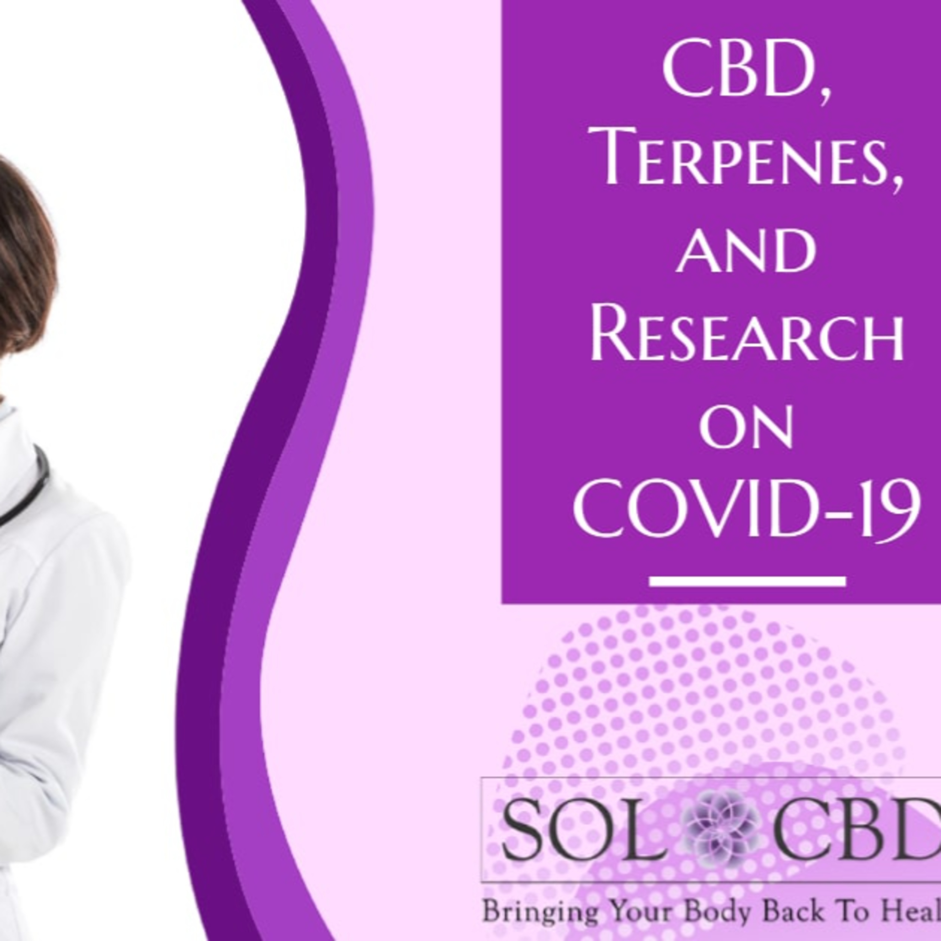 The CBD Academy by SOL*CBD