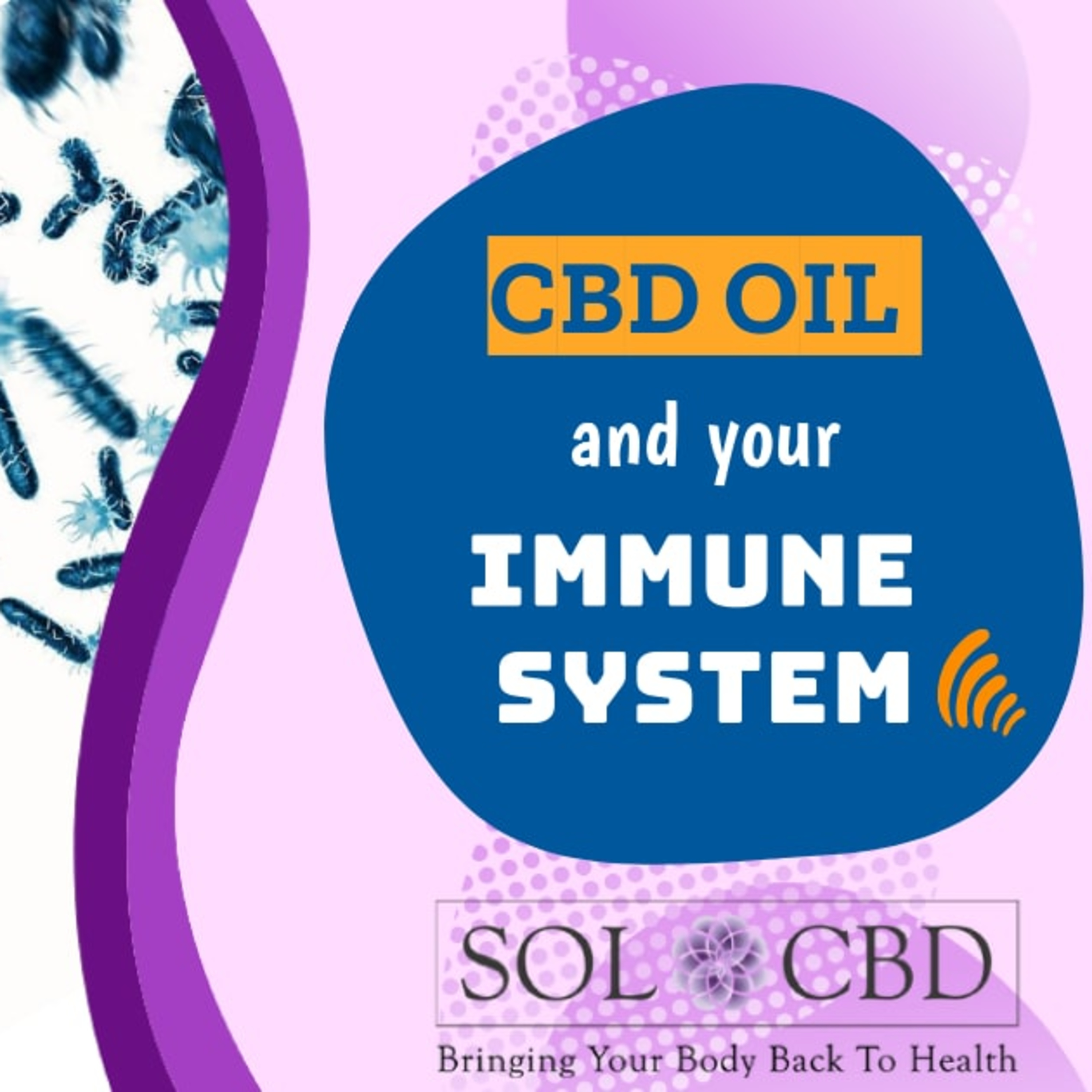 The CBD Academy by SOL*CBD