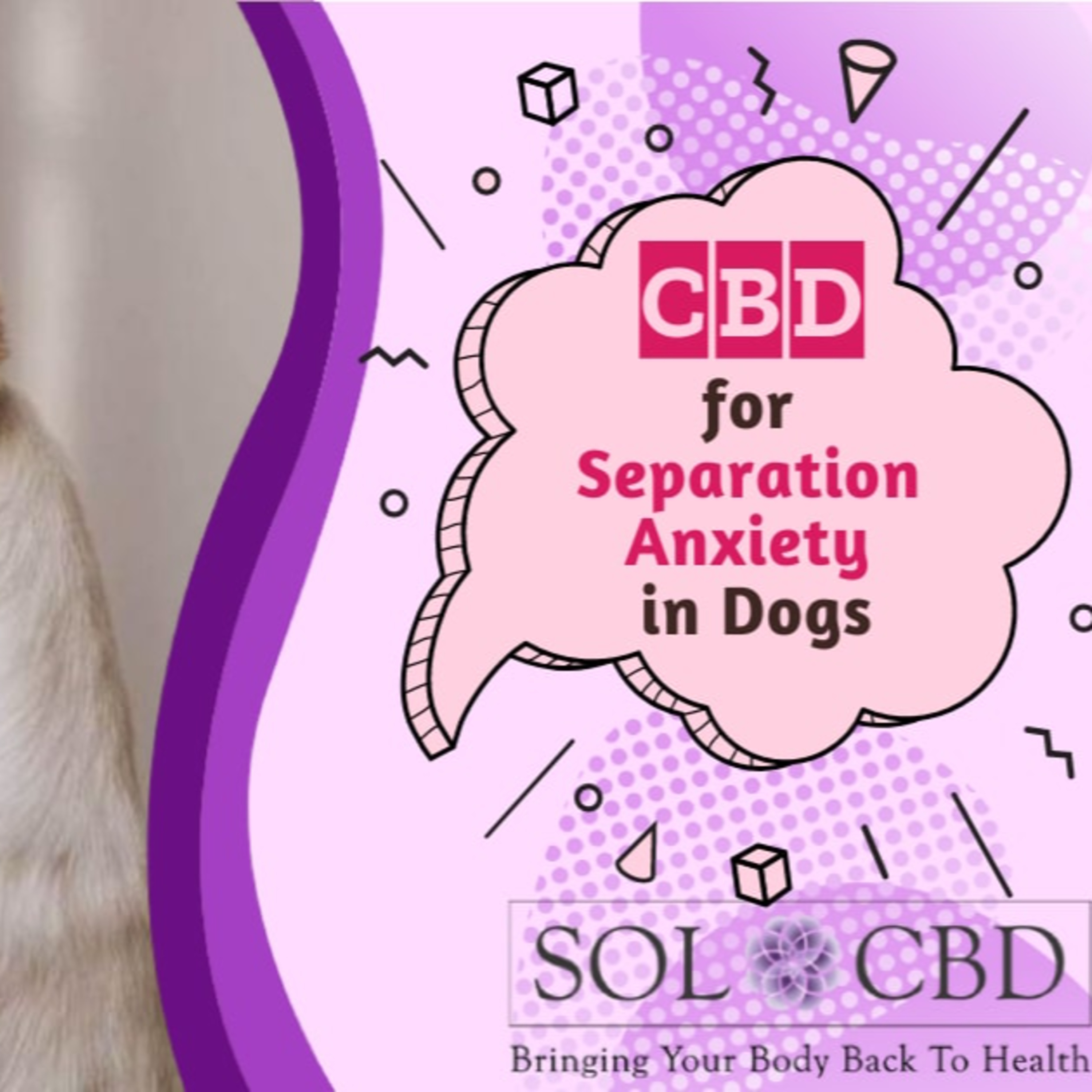 The CBD Academy by SOL*CBD