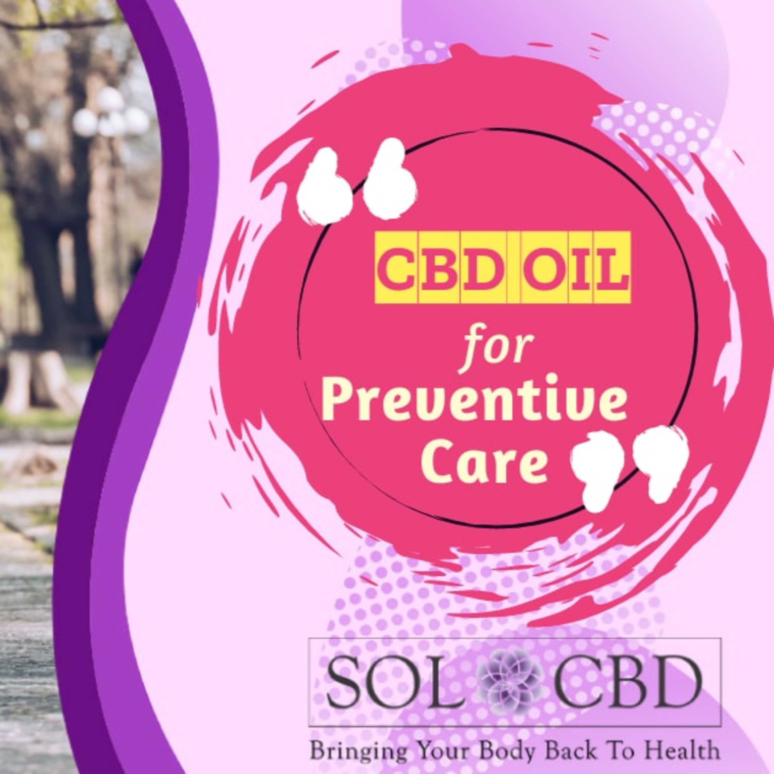 The CBD Academy by SOL*CBD
