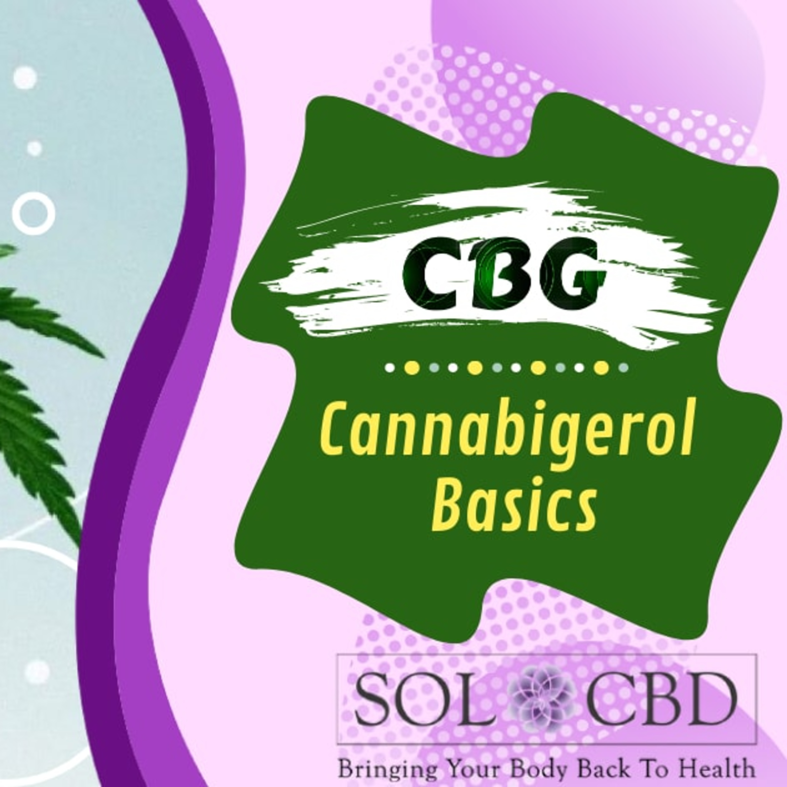 The CBD Academy by SOL*CBD