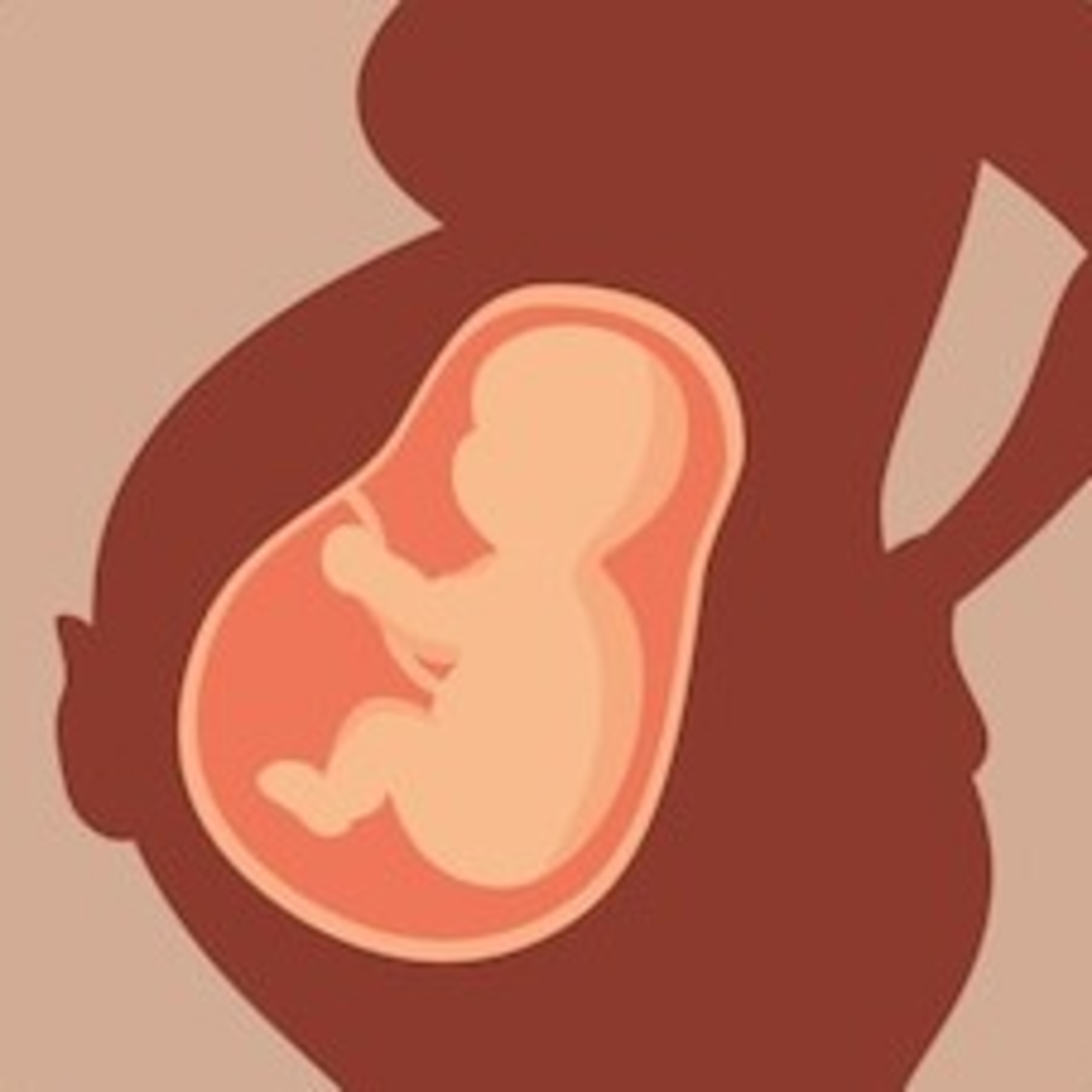 EL AMOR / AUDIO LIBRO