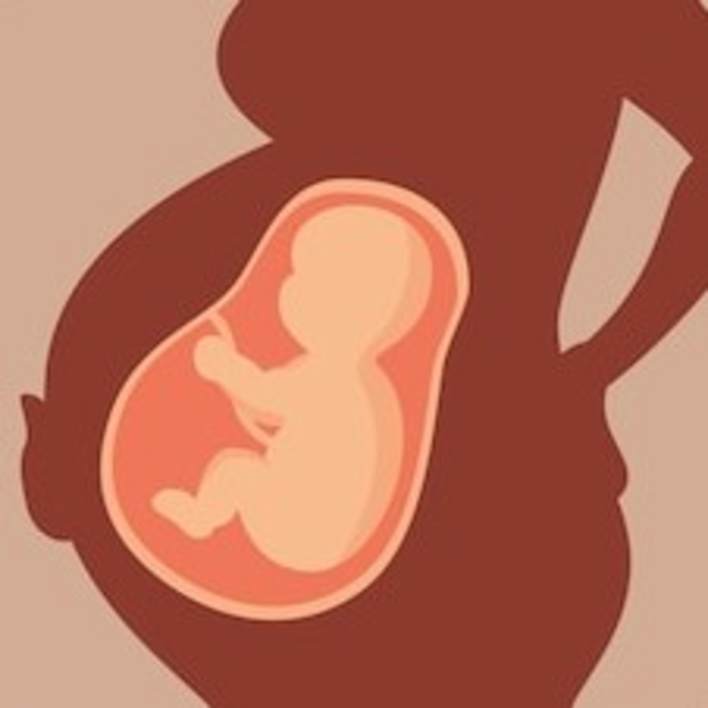 EL AMOR / AUDIO LIBRO