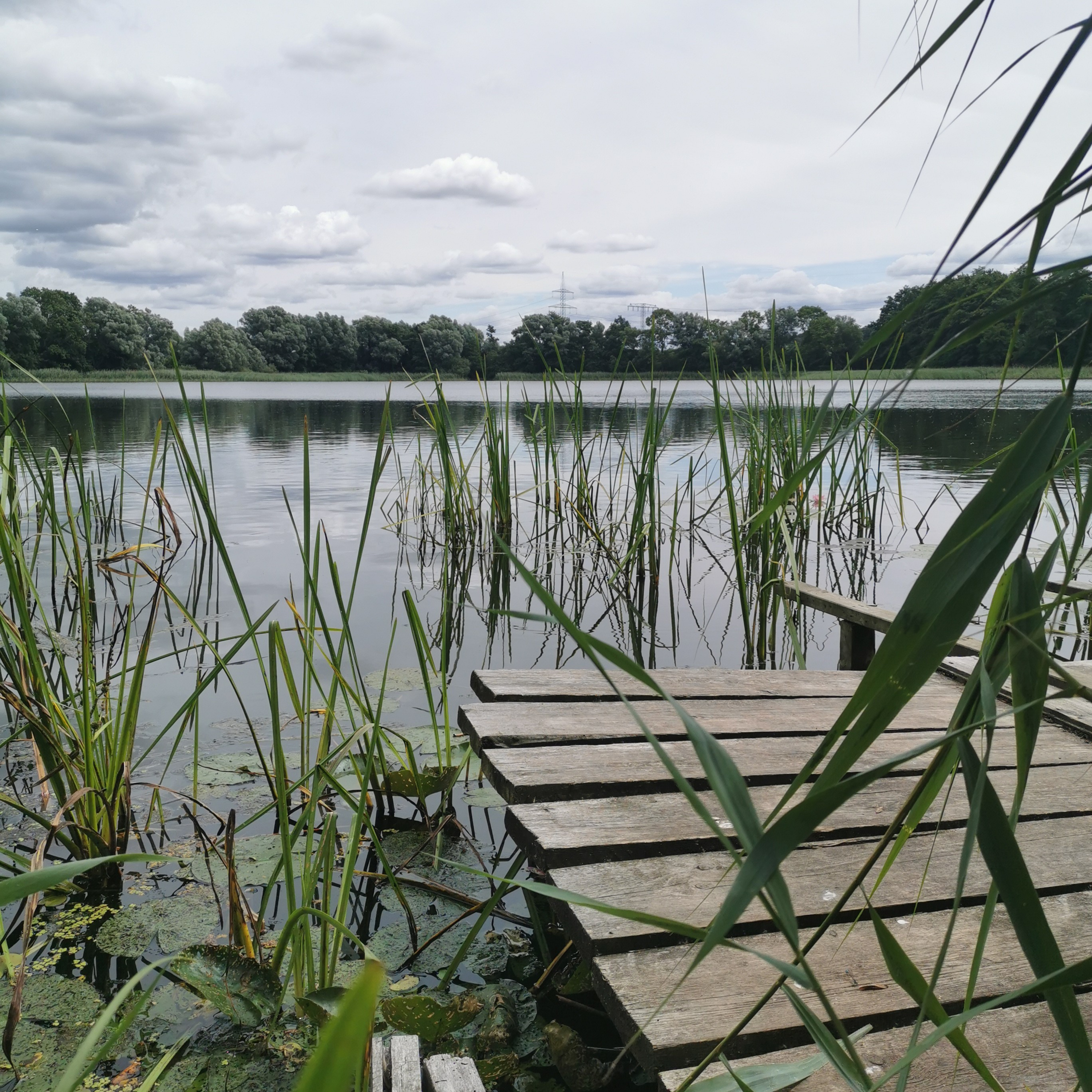 Leo am See - Gespräche mit dem See...  episode artwork