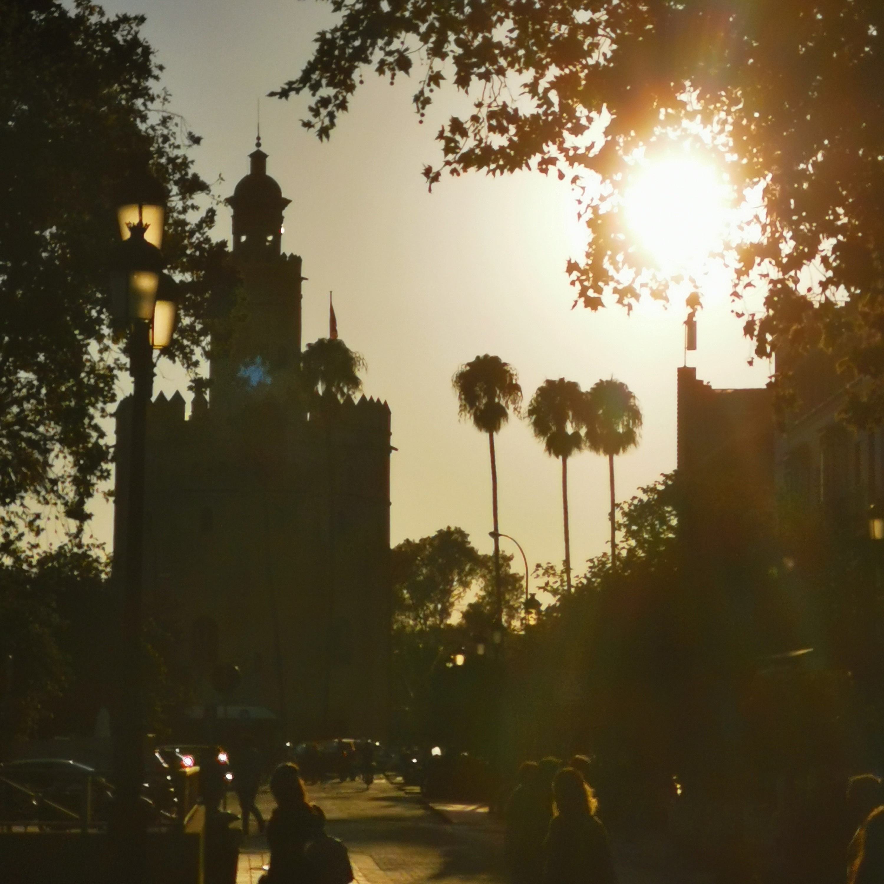 Leo on the way – Sevilla and gratefulness in the night episode artwork