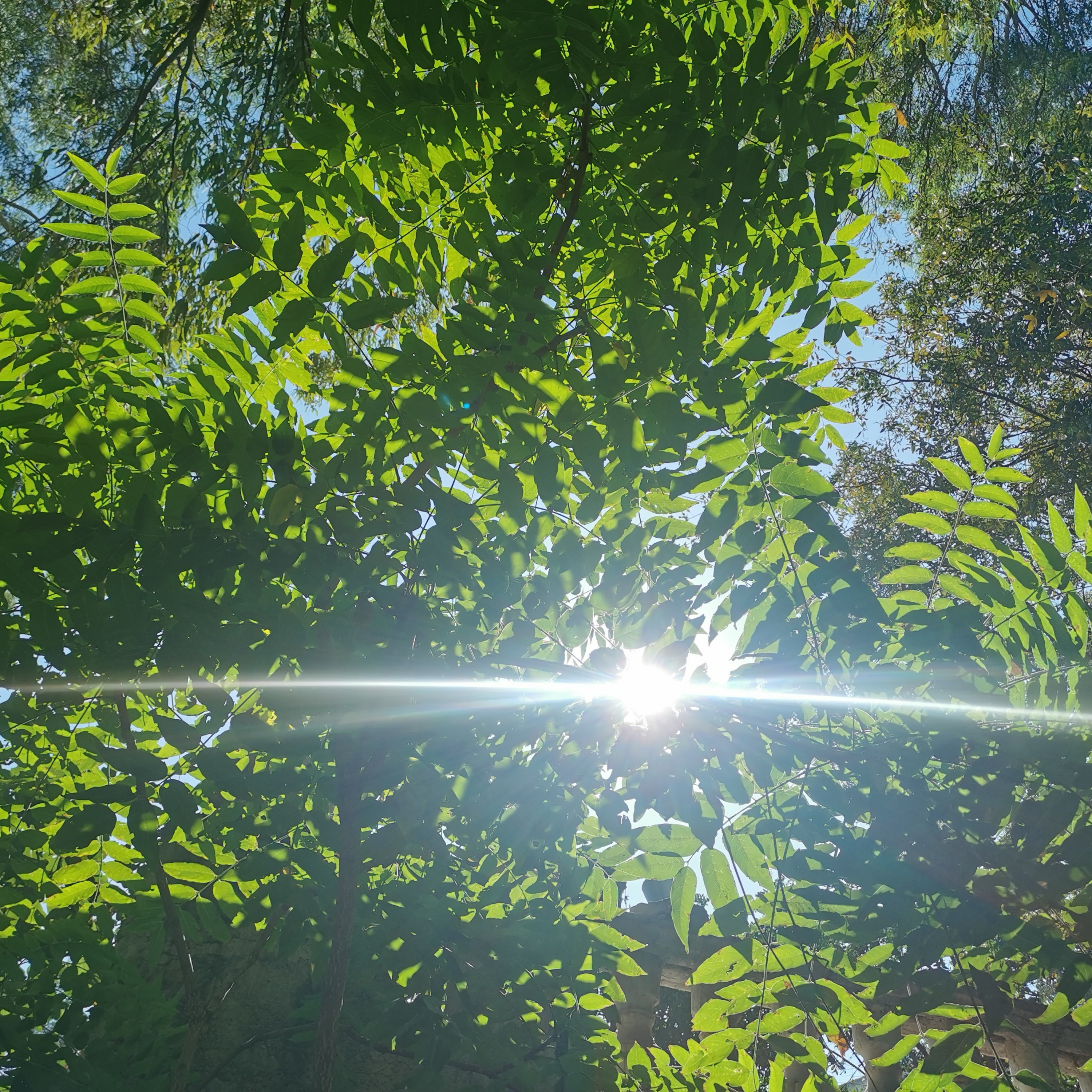 Leo Philo - Cyprus - Morgen schöne Gedanken :))) wahre Leben gefühlt  episode artwork