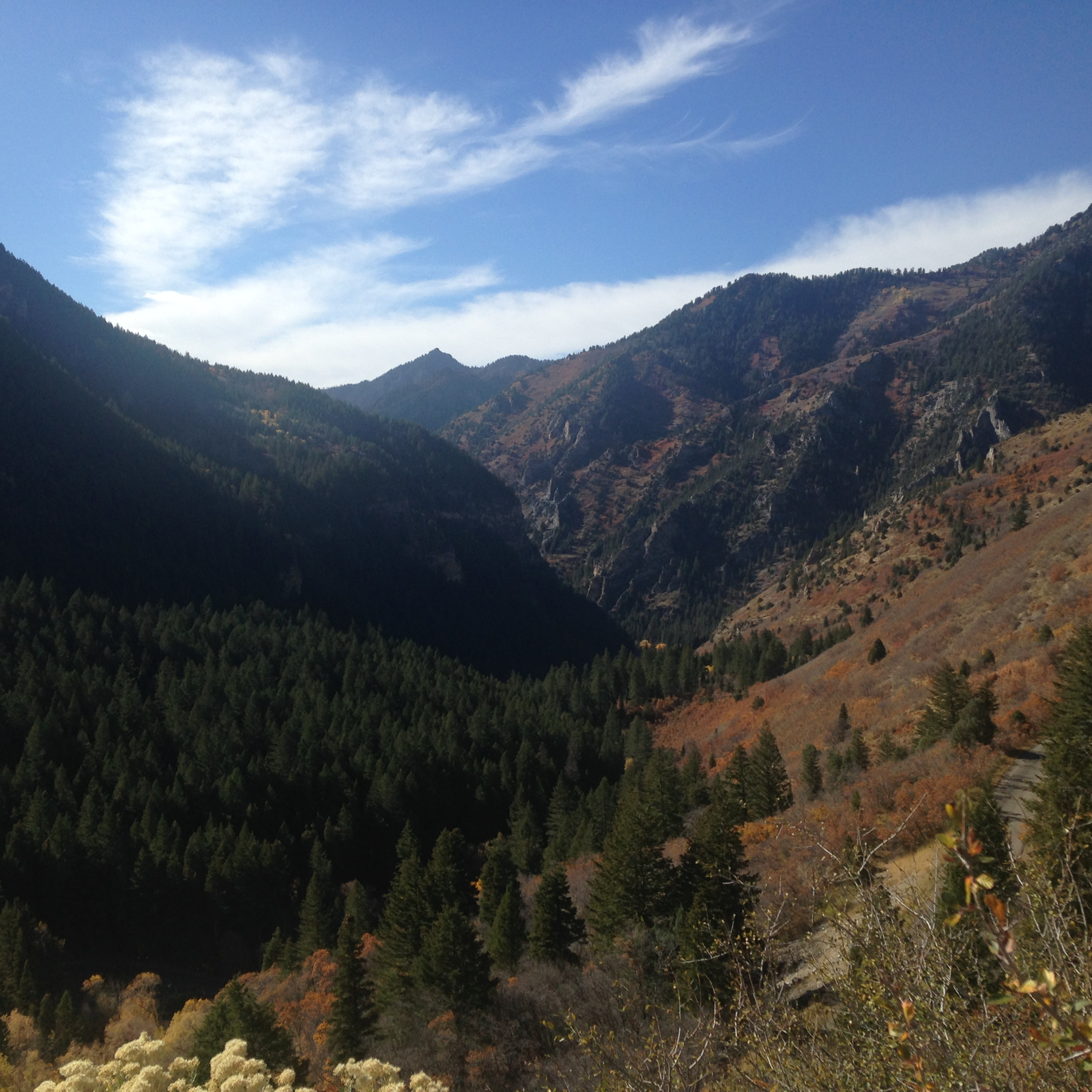 Mattathias Reads The World