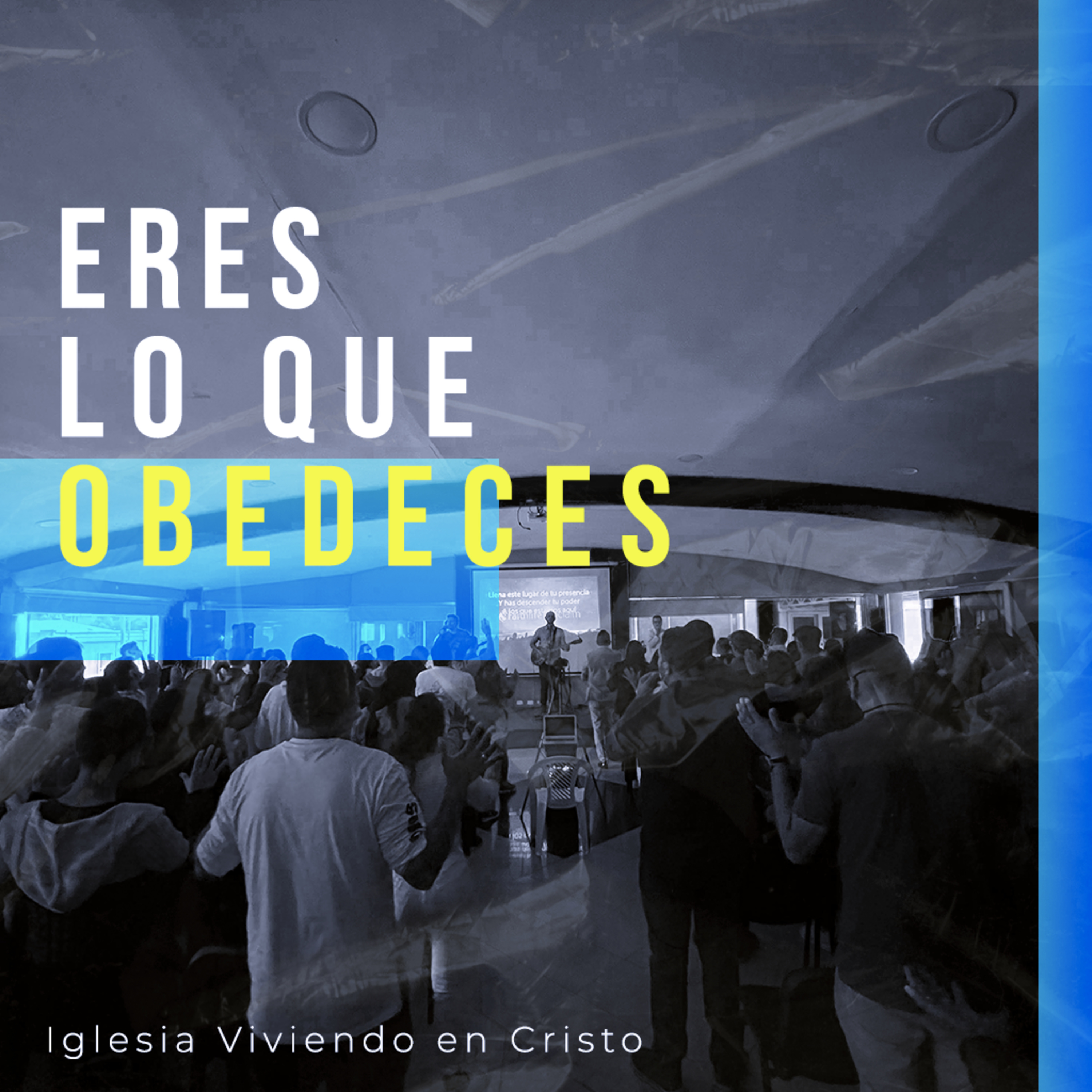 Capsulas diarias - IVC