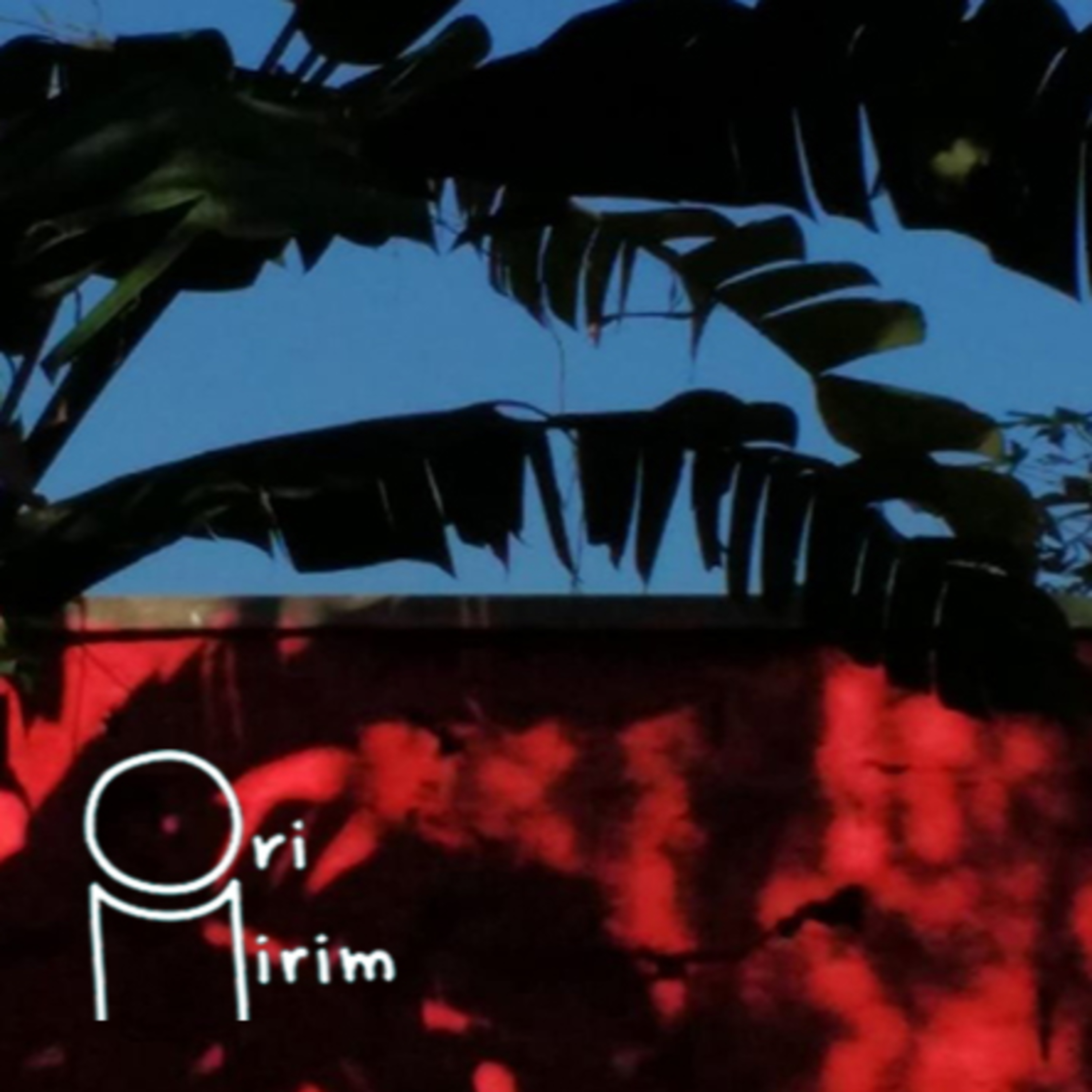 Programa 6