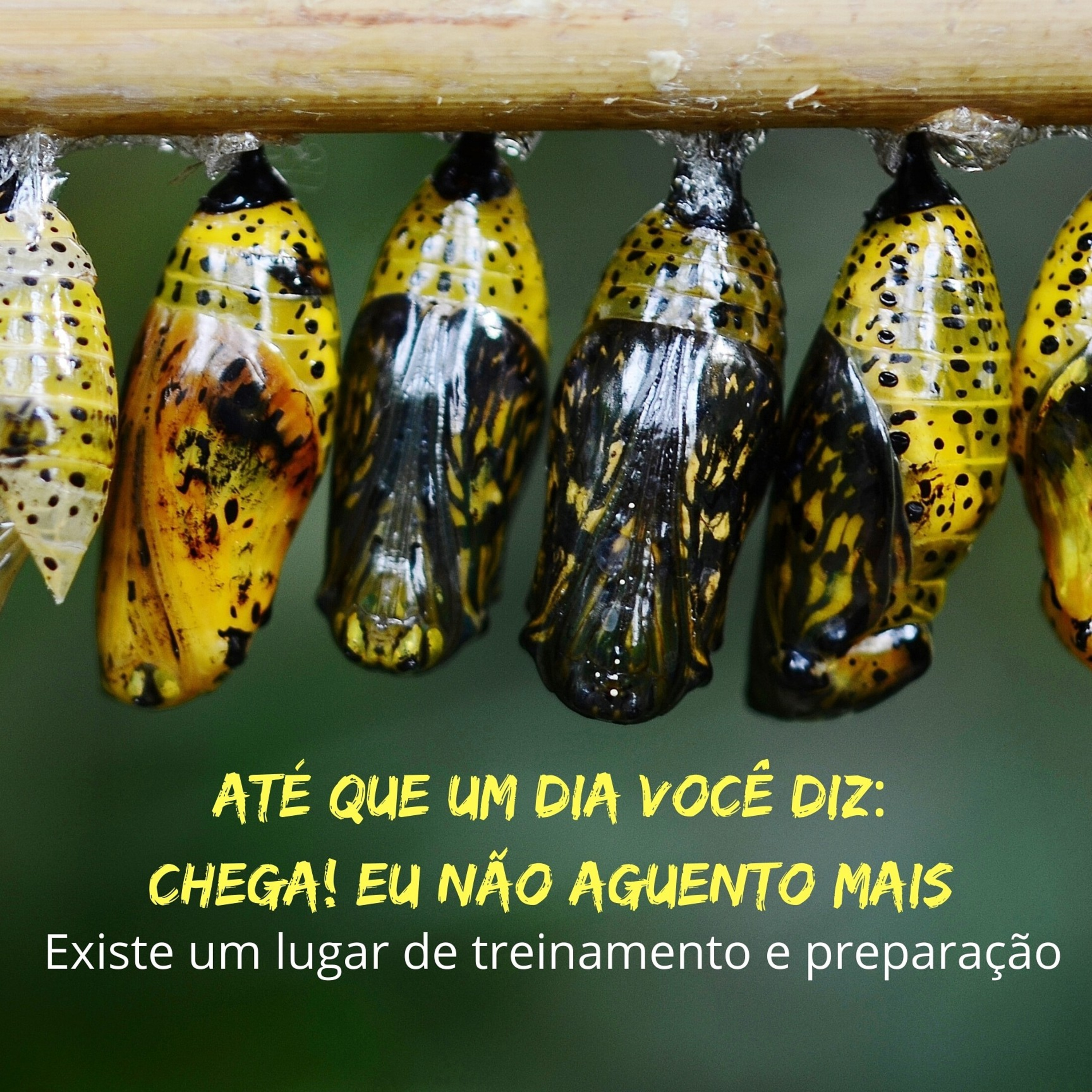 TreinaMenteCast