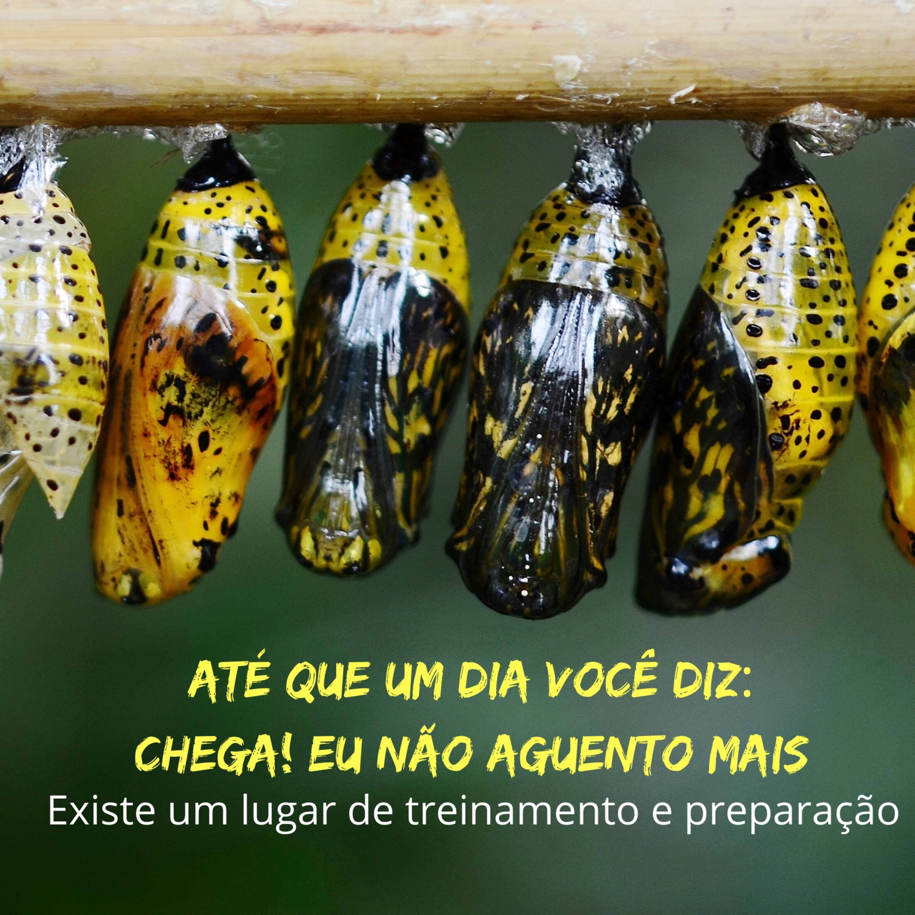 TreinaMenteCast