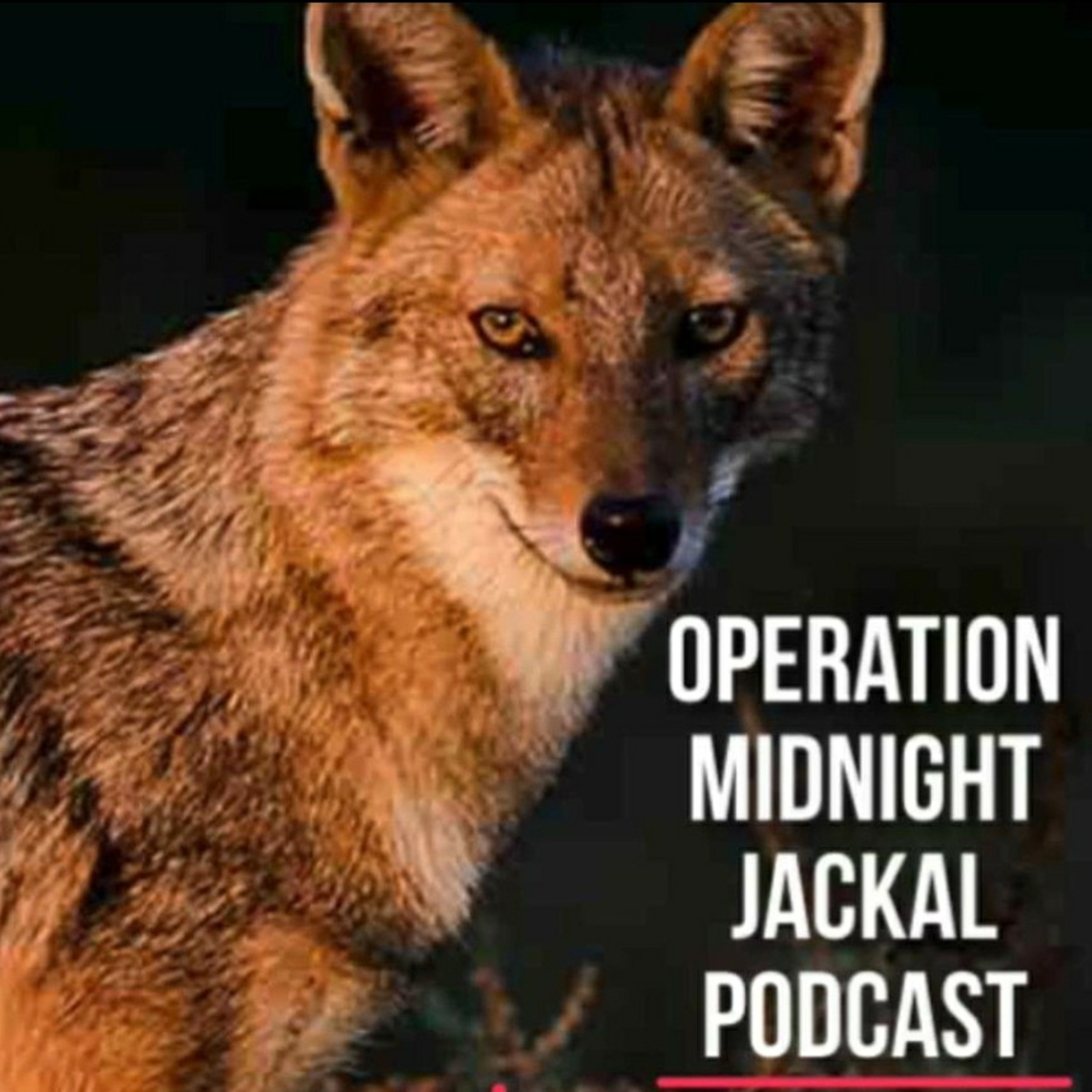 Operation Midnight Jackal Podcast