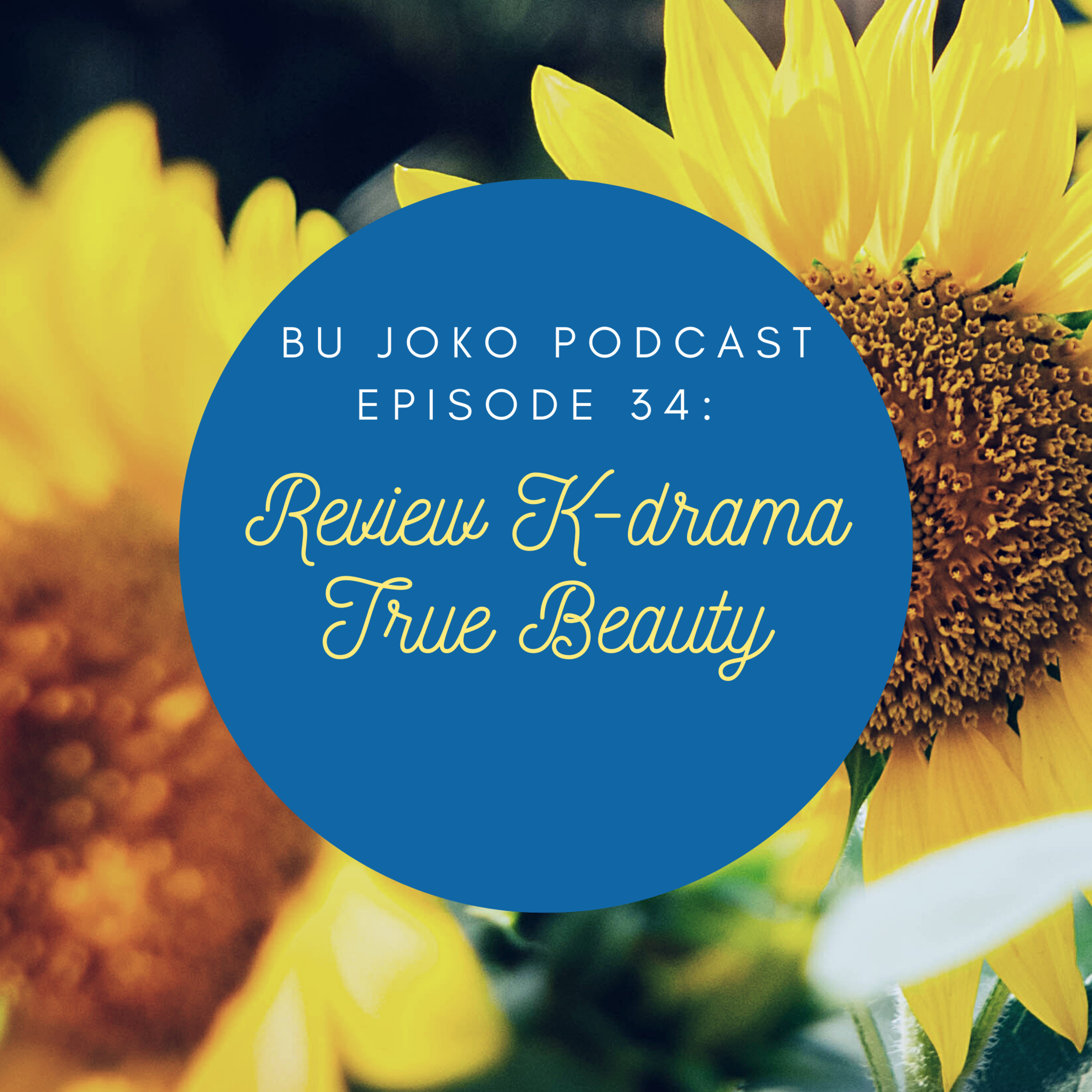 Episode 34 : Review K-drama "True Beauty" episode artwork
