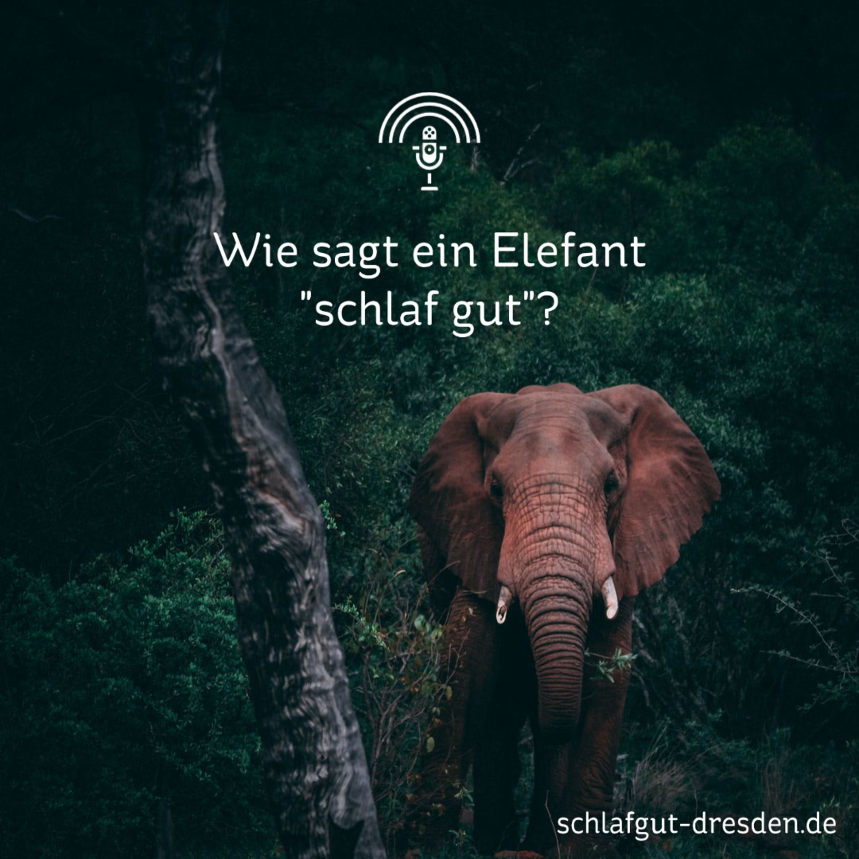 Schlaf Gut!