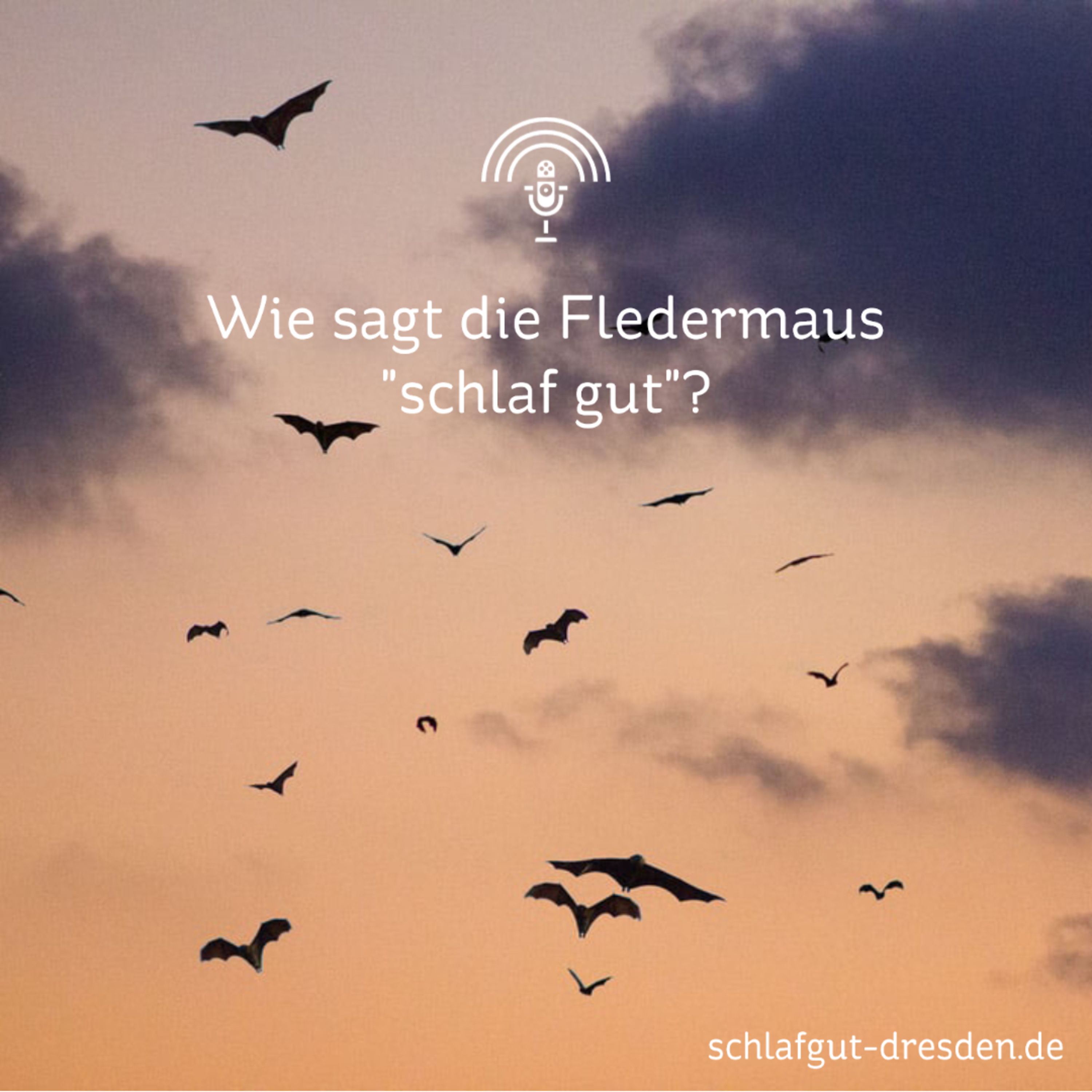 Schlaf Gut!