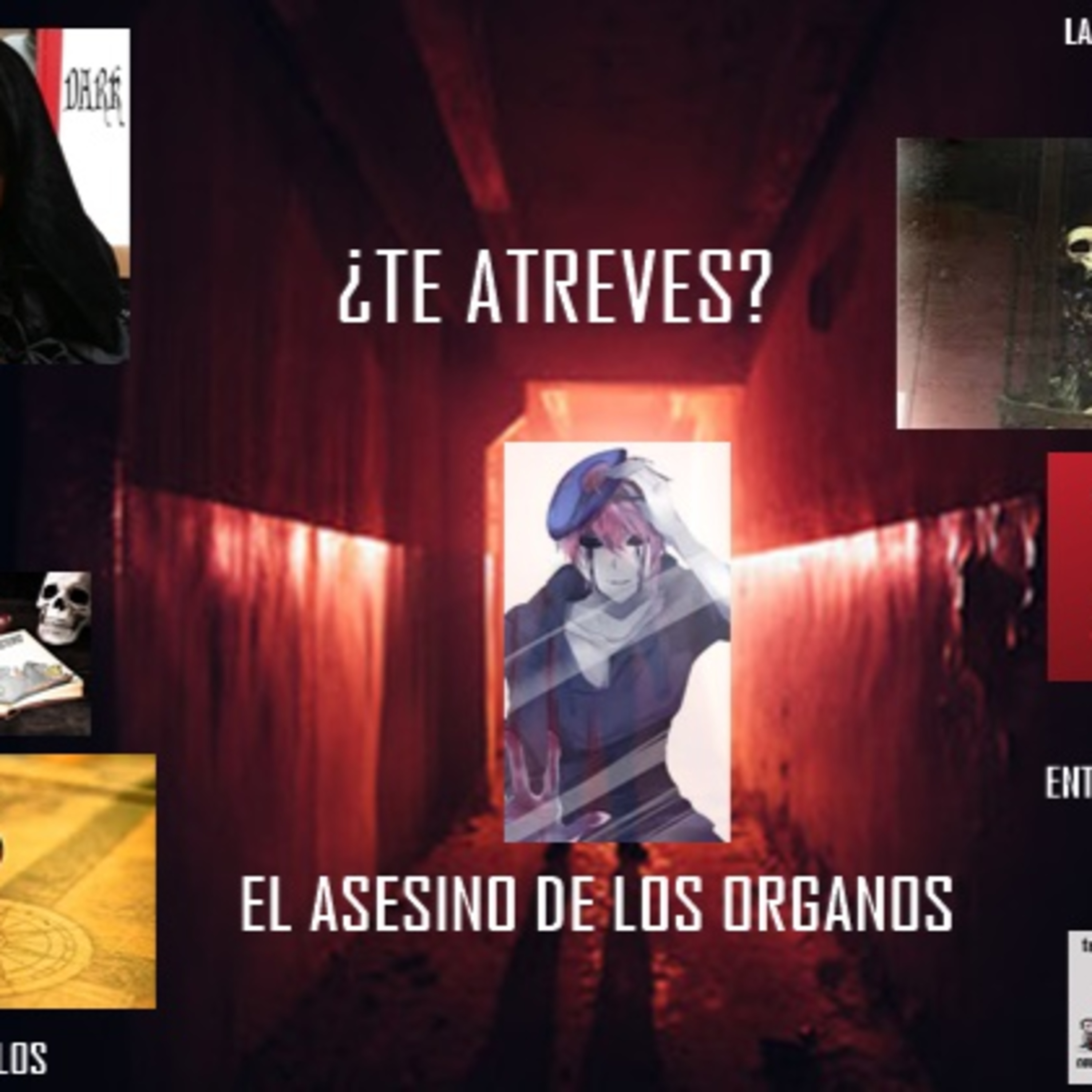 Terror y Misterio con DARK