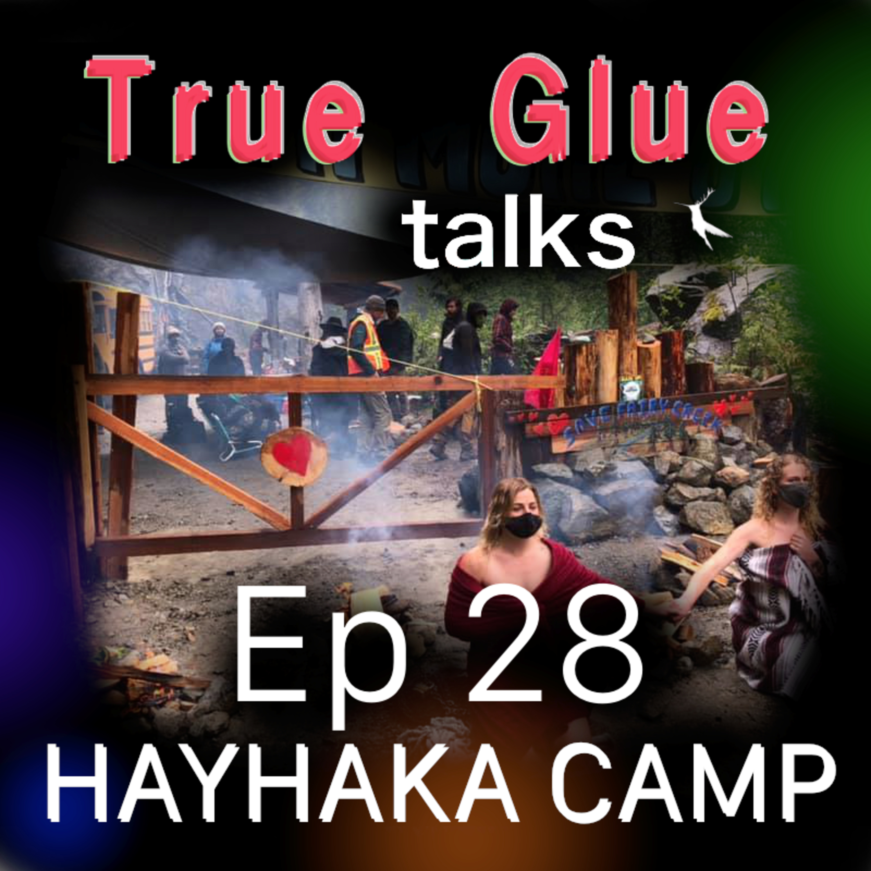 True Glue talks
