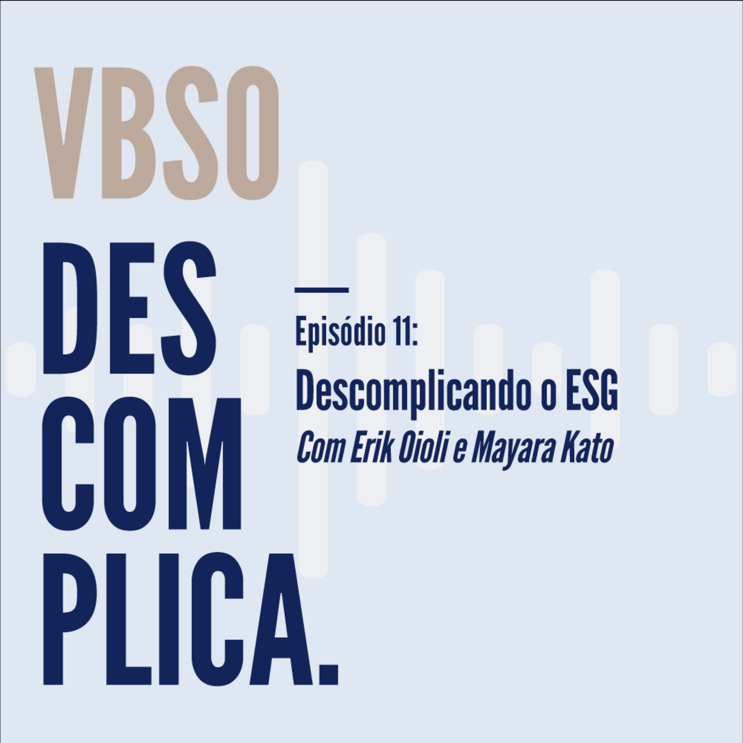 VBSO Descomplica