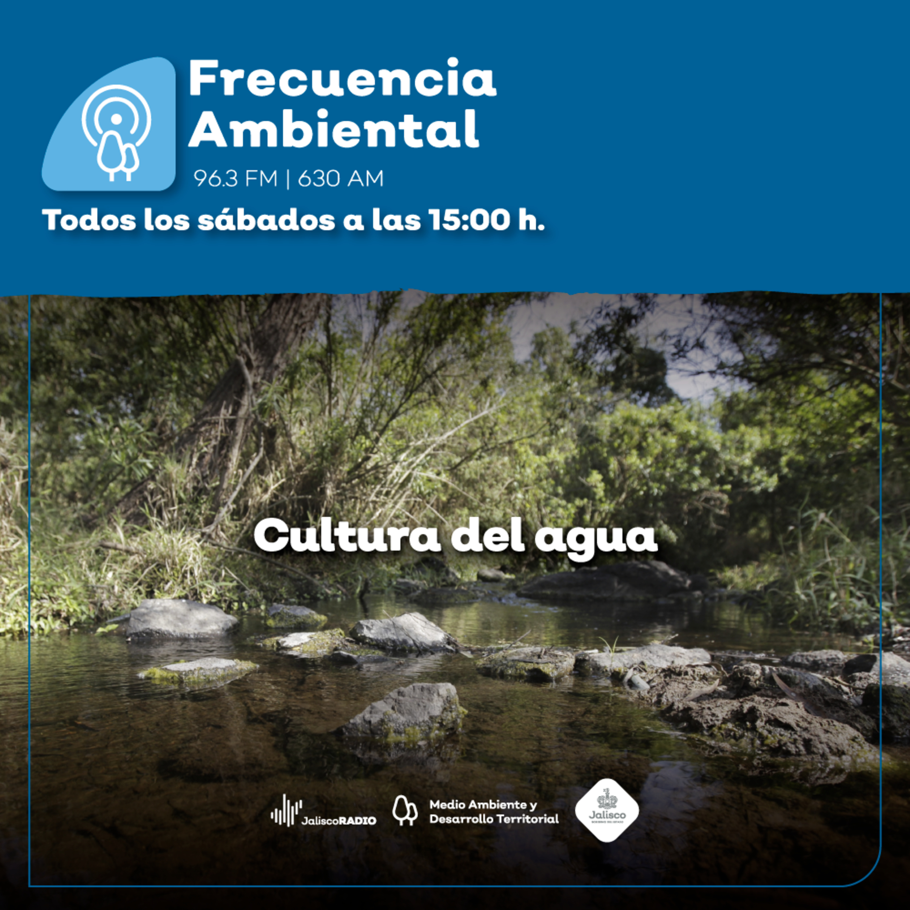 Frecuencia Ambiental