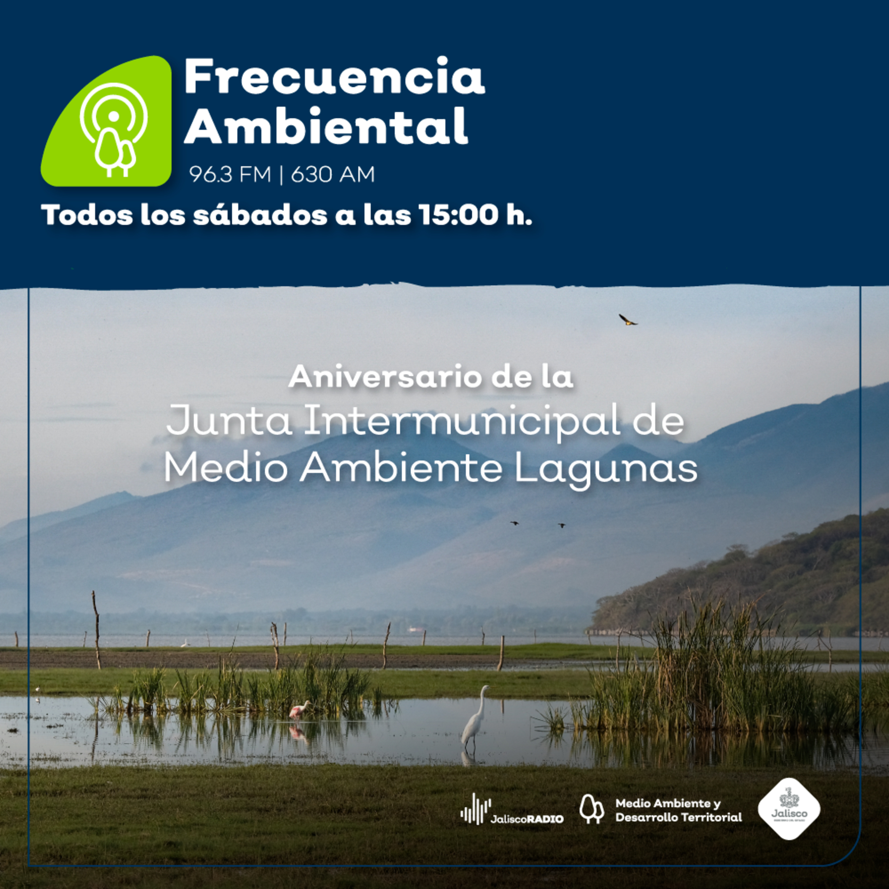 Frecuencia Ambiental