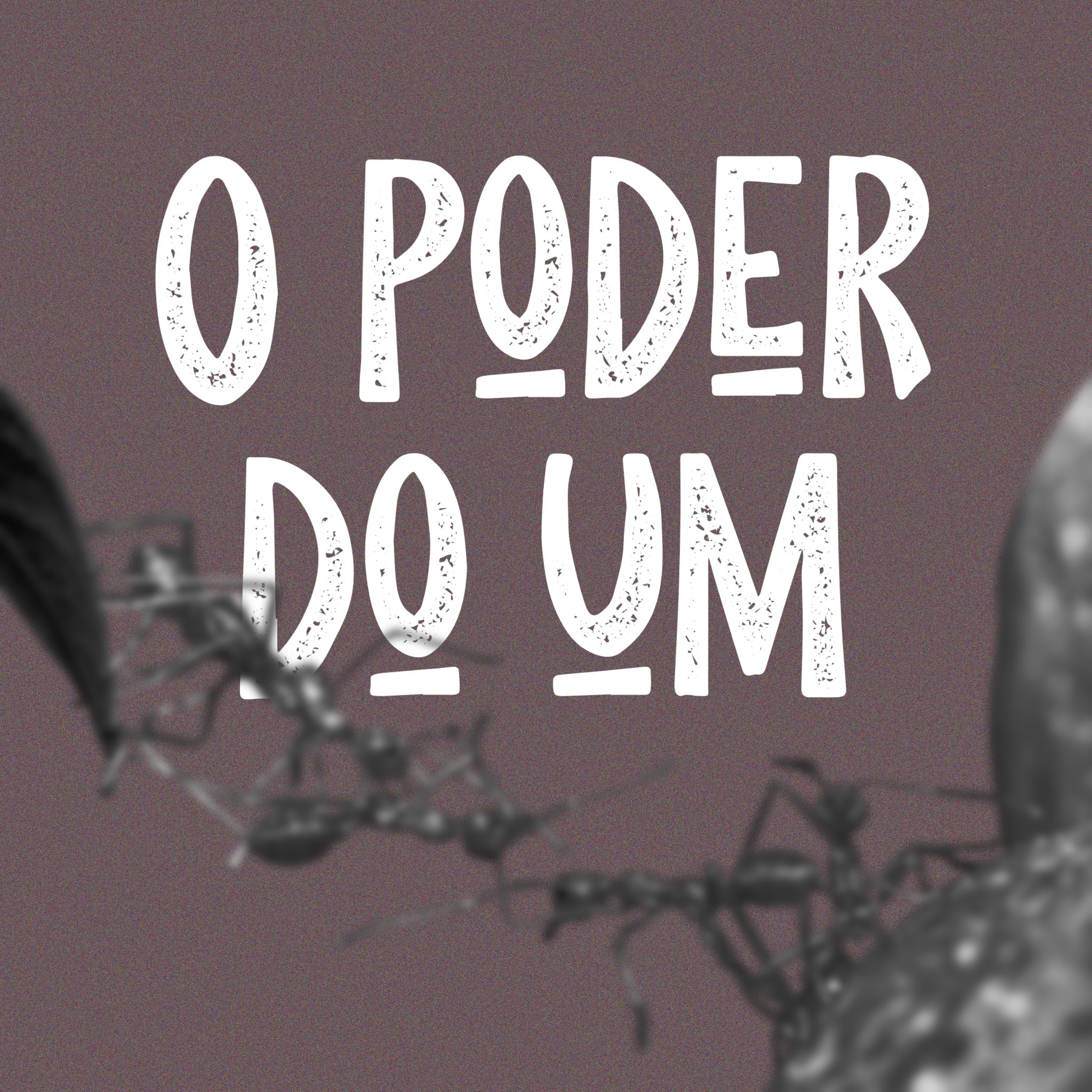 Nossa Tenda