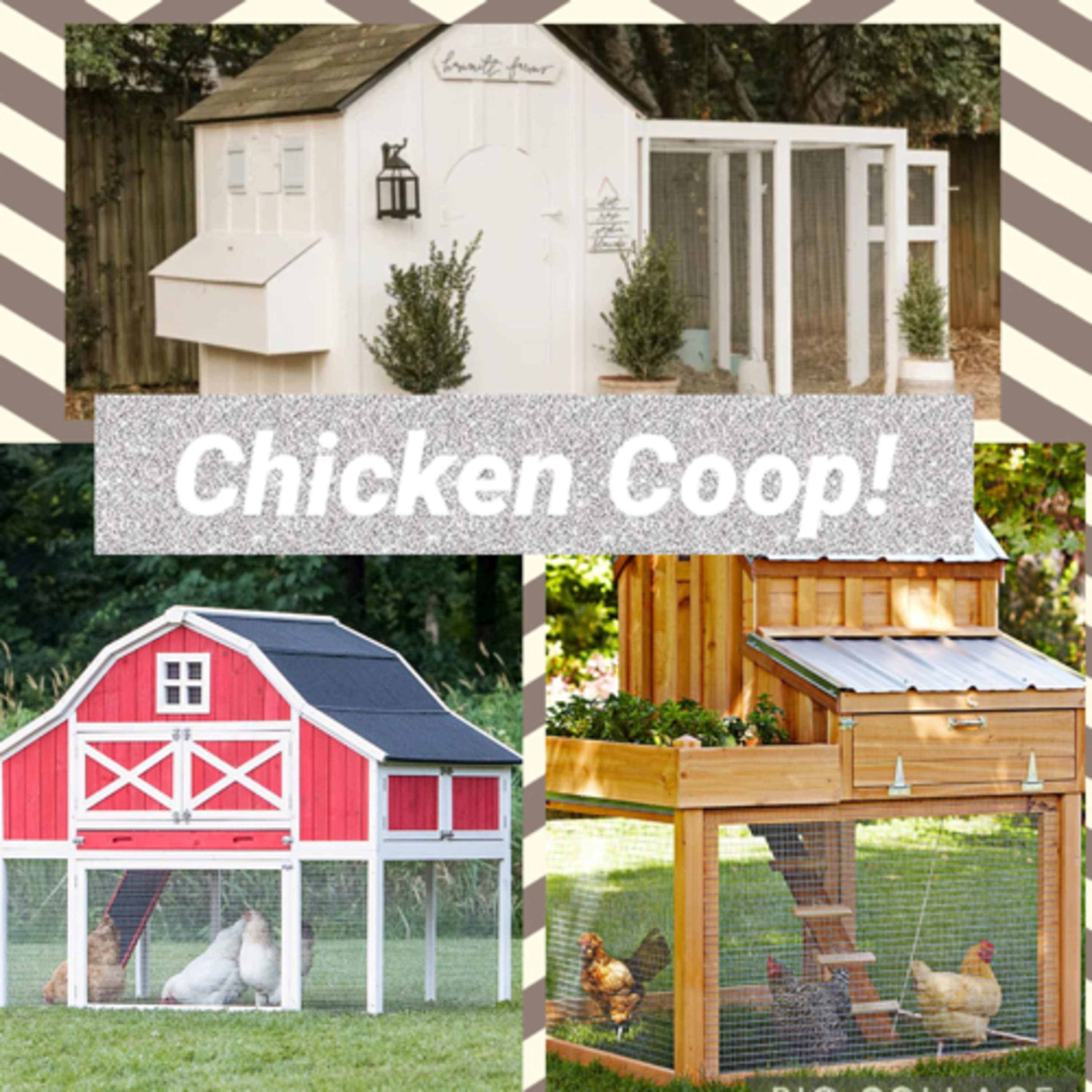 Tips for raising Chicks