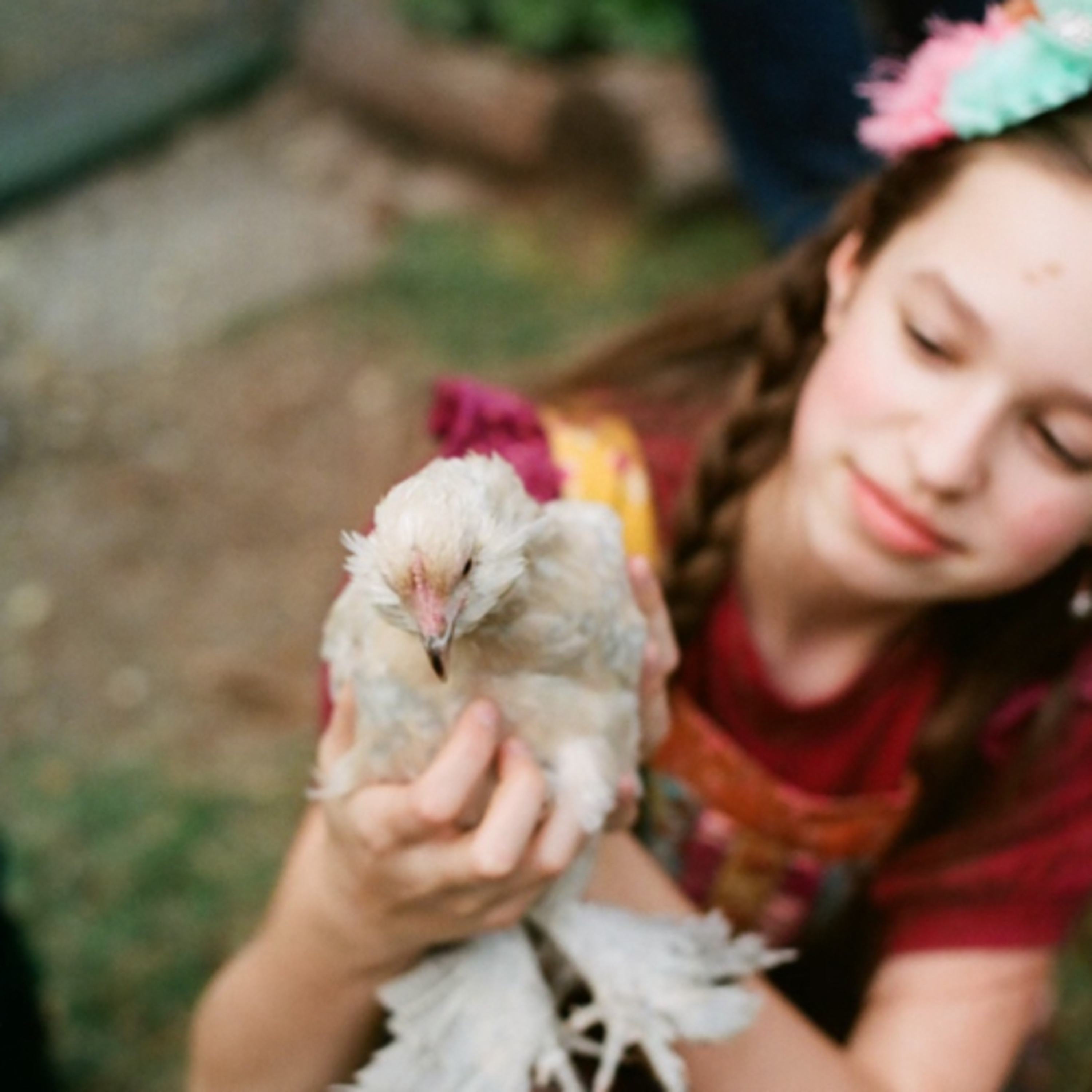 Tips for raising Chicks