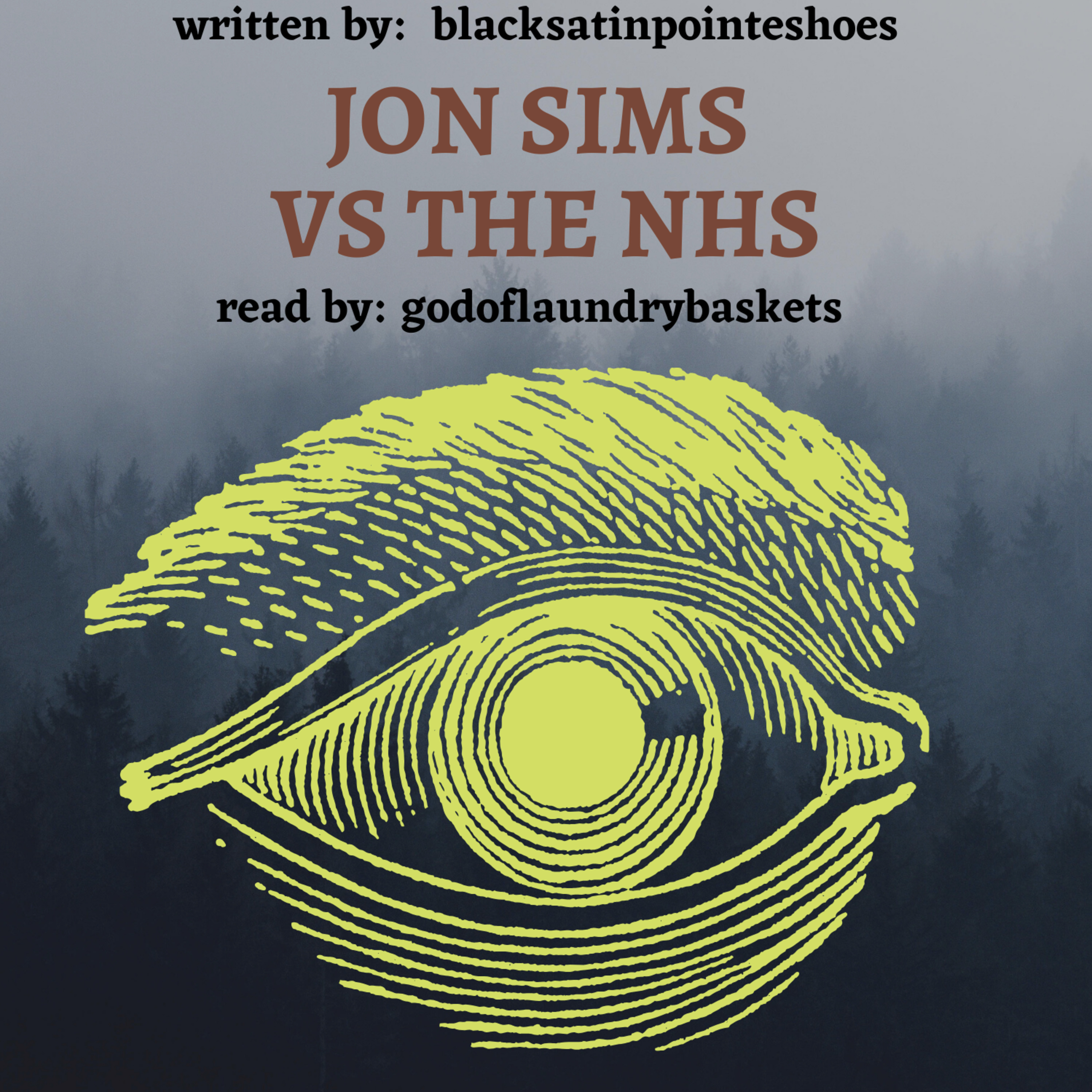 [Magnus Archives] [04 vs the nhs] eye of the storm episode artwork