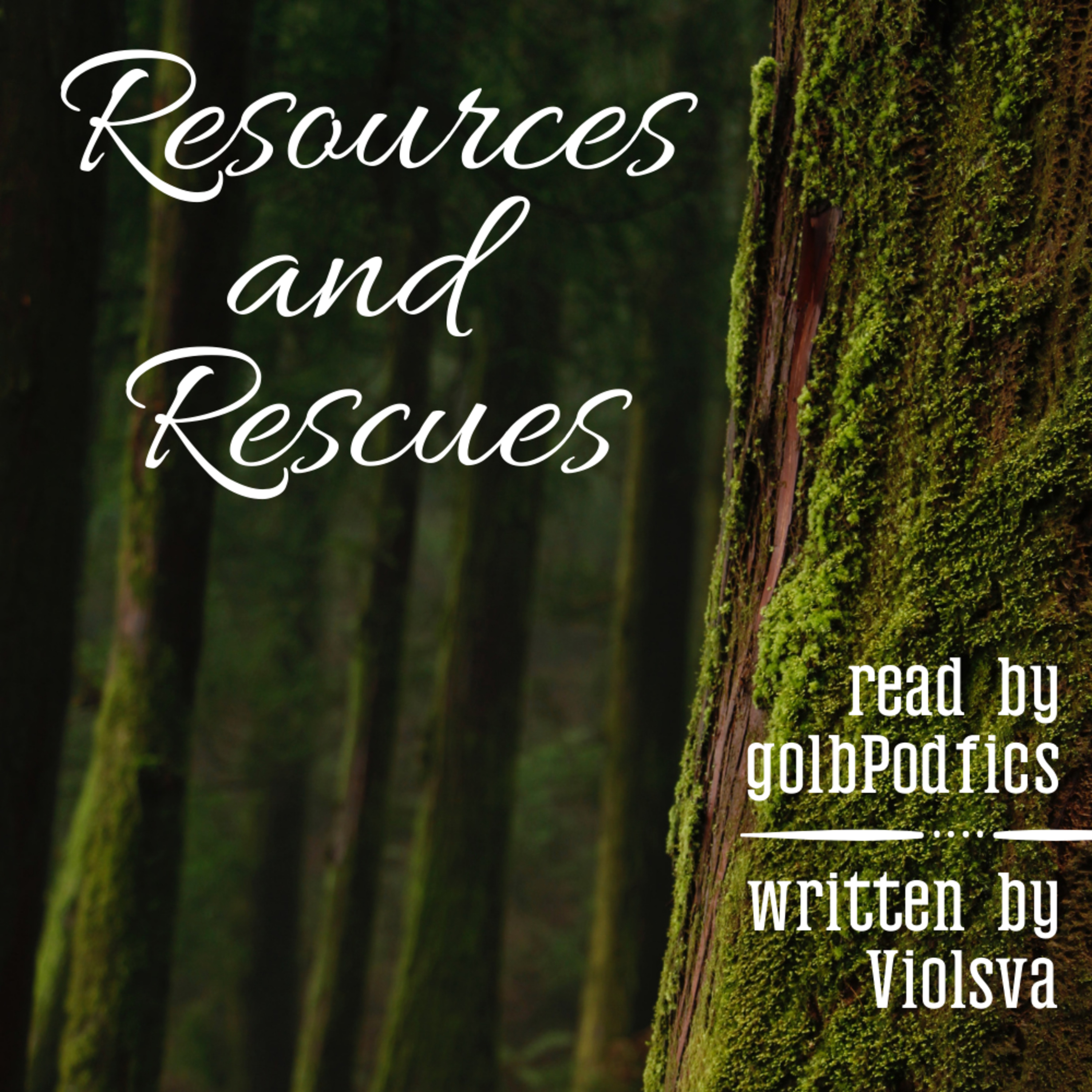 [Enchanted Forest] Resources and Rescues episode artwork