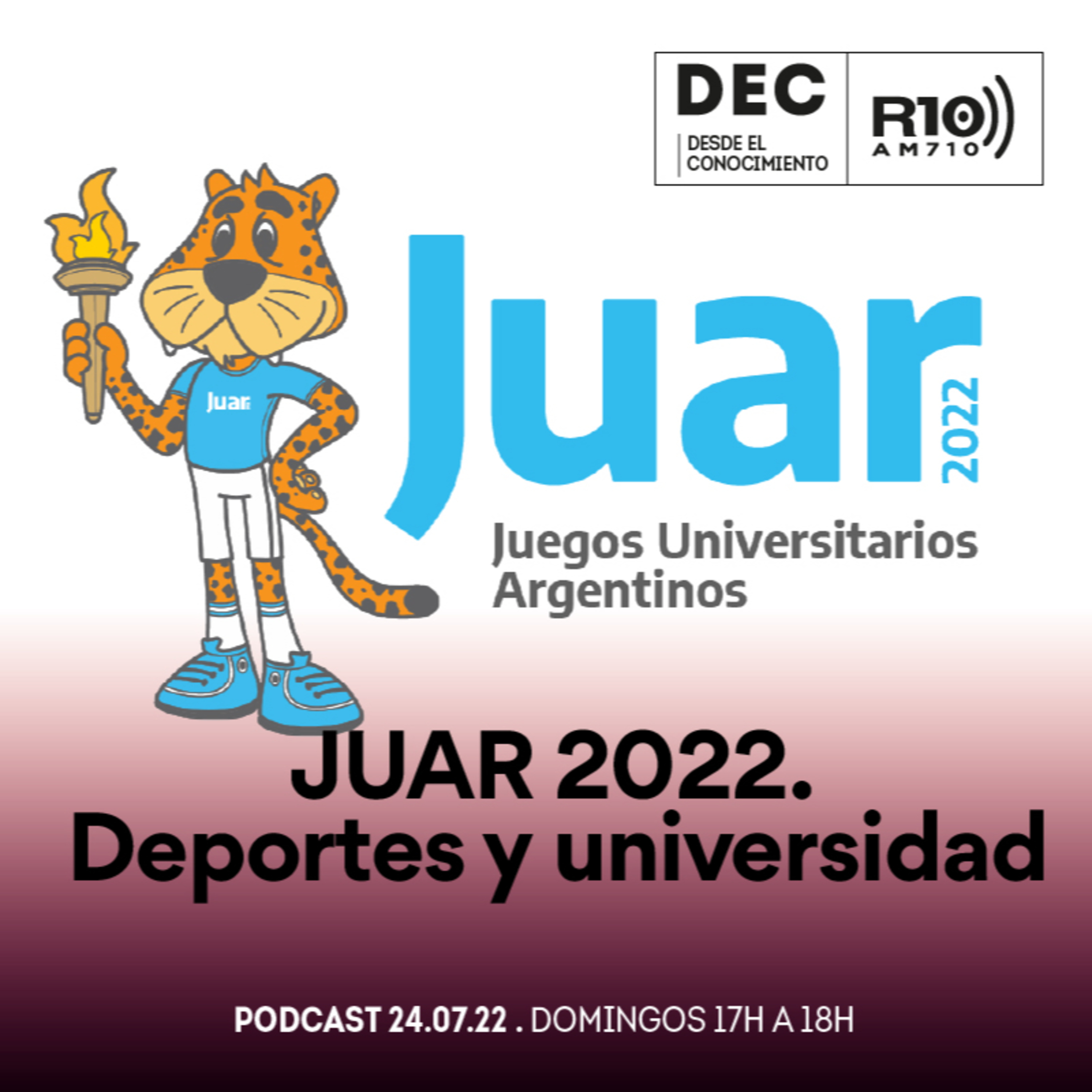 Desde el conocimiento